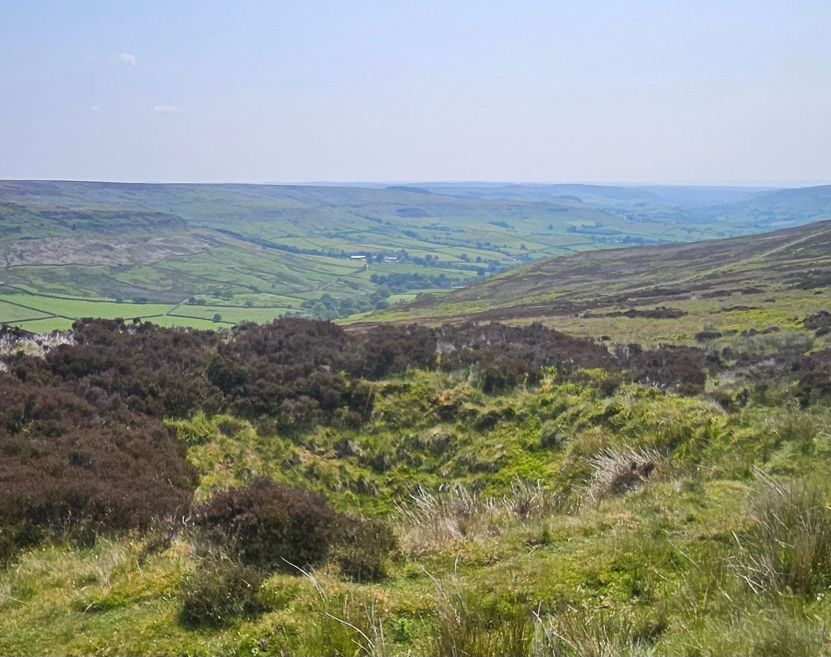 North York Moors, Steam Train & Whitby Small-Group Tour
