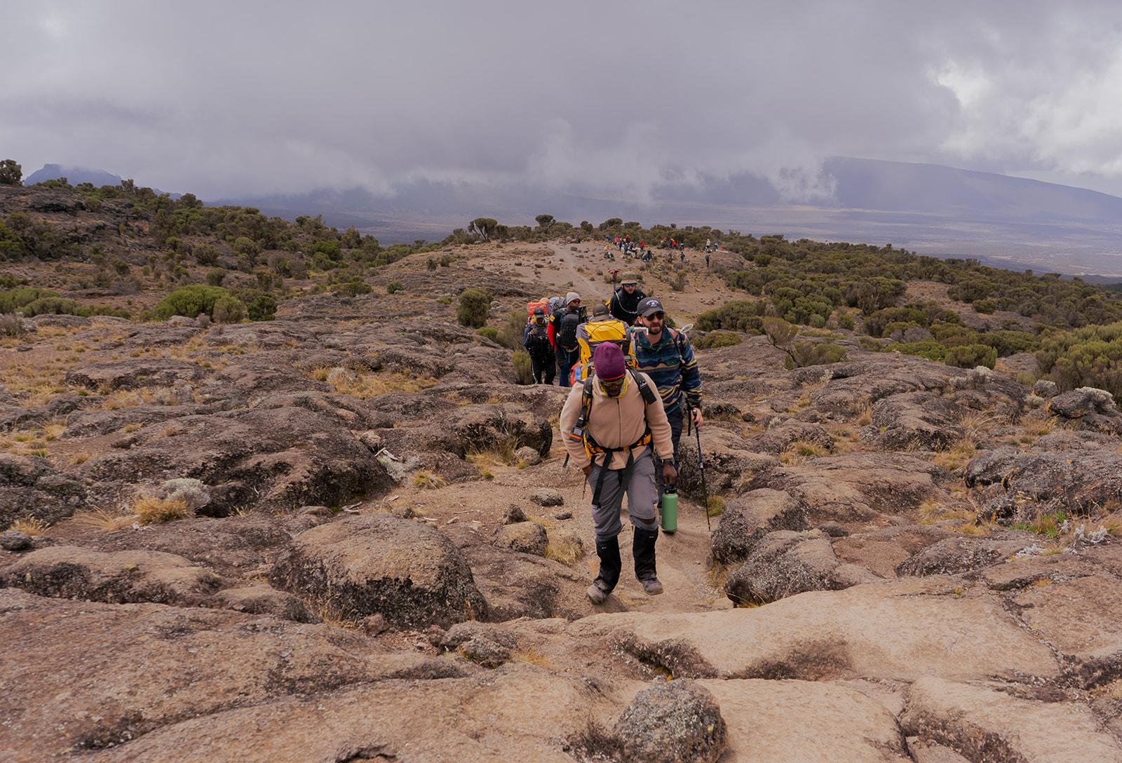 Kilimanjaro Day Hike to Shira Plateau