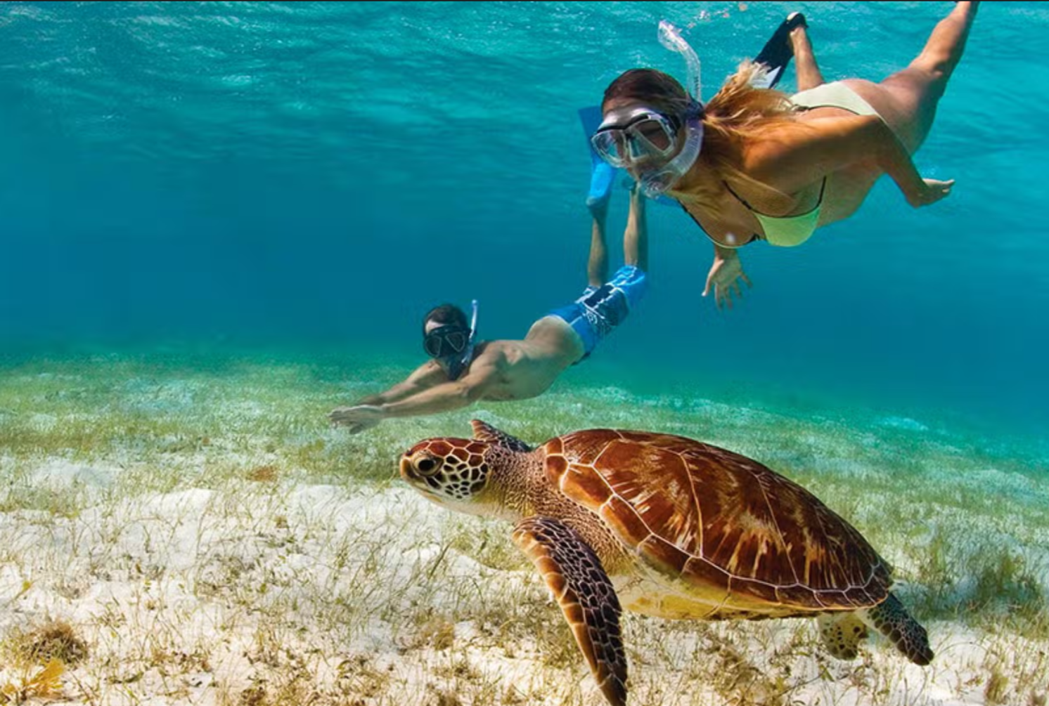 Catalina Island Snorkeling Escape from Miches