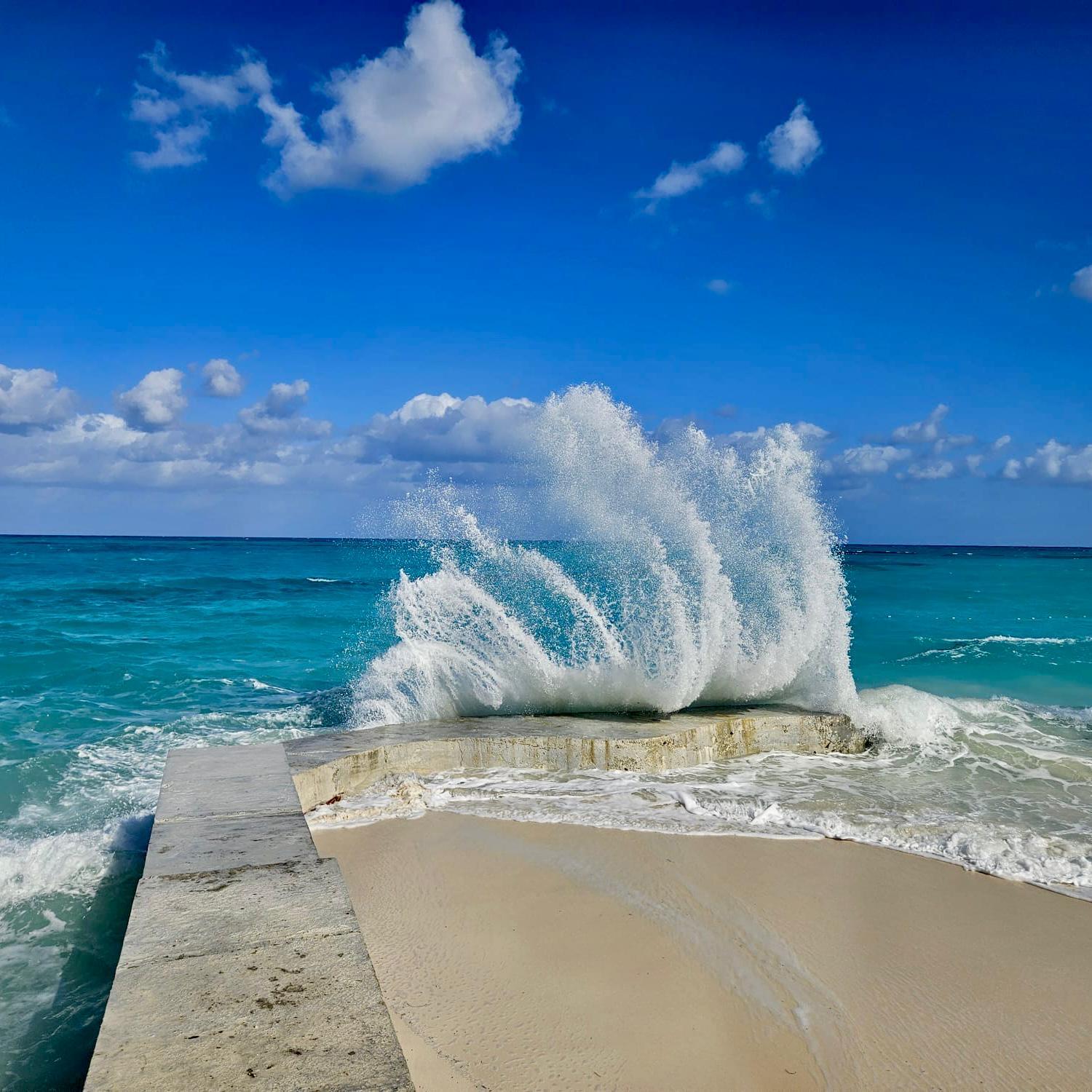 Nassau Powerboat Adventure: Snorkeling, Turtles & Private Beach Club