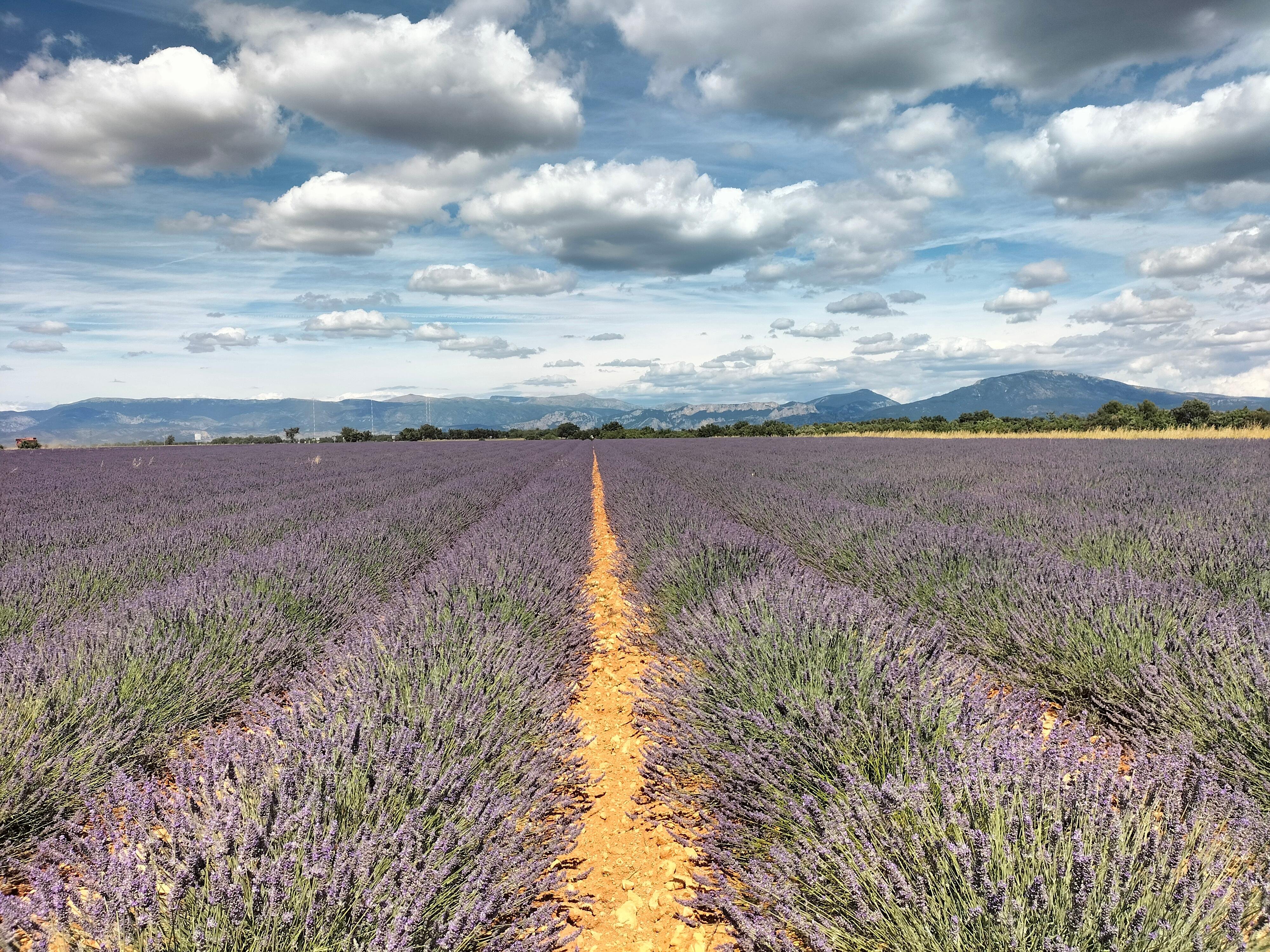 Gorges du Verdon in Provence — Verdon Gorge tour photo 5
