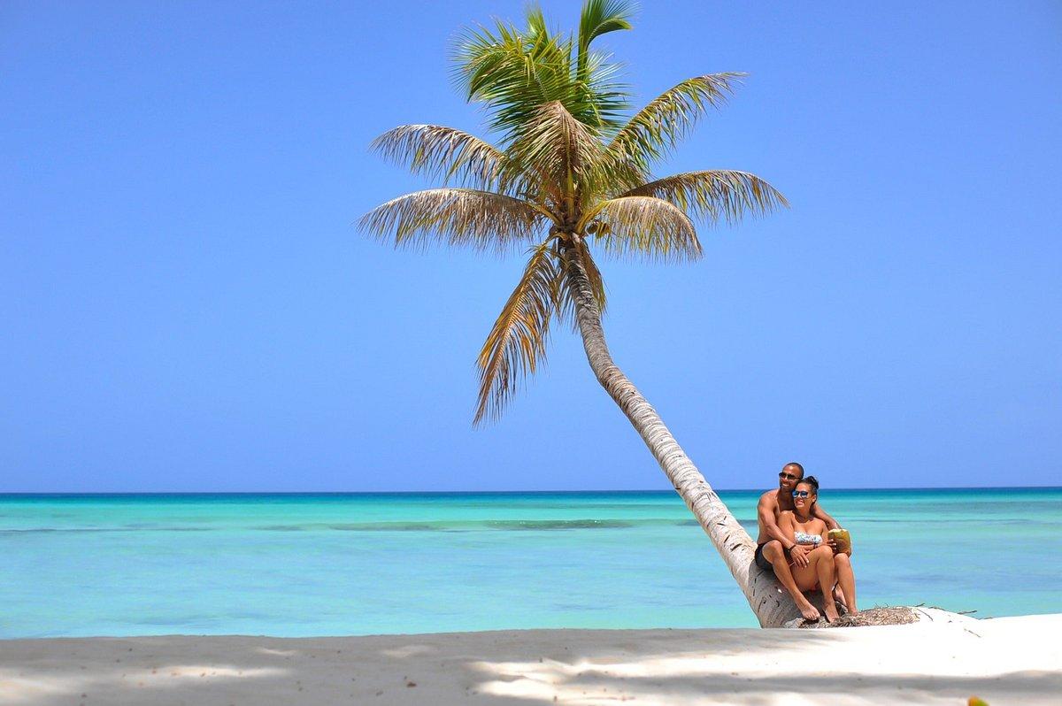 Saona Island Day Trip with Speedboat & Catamaran