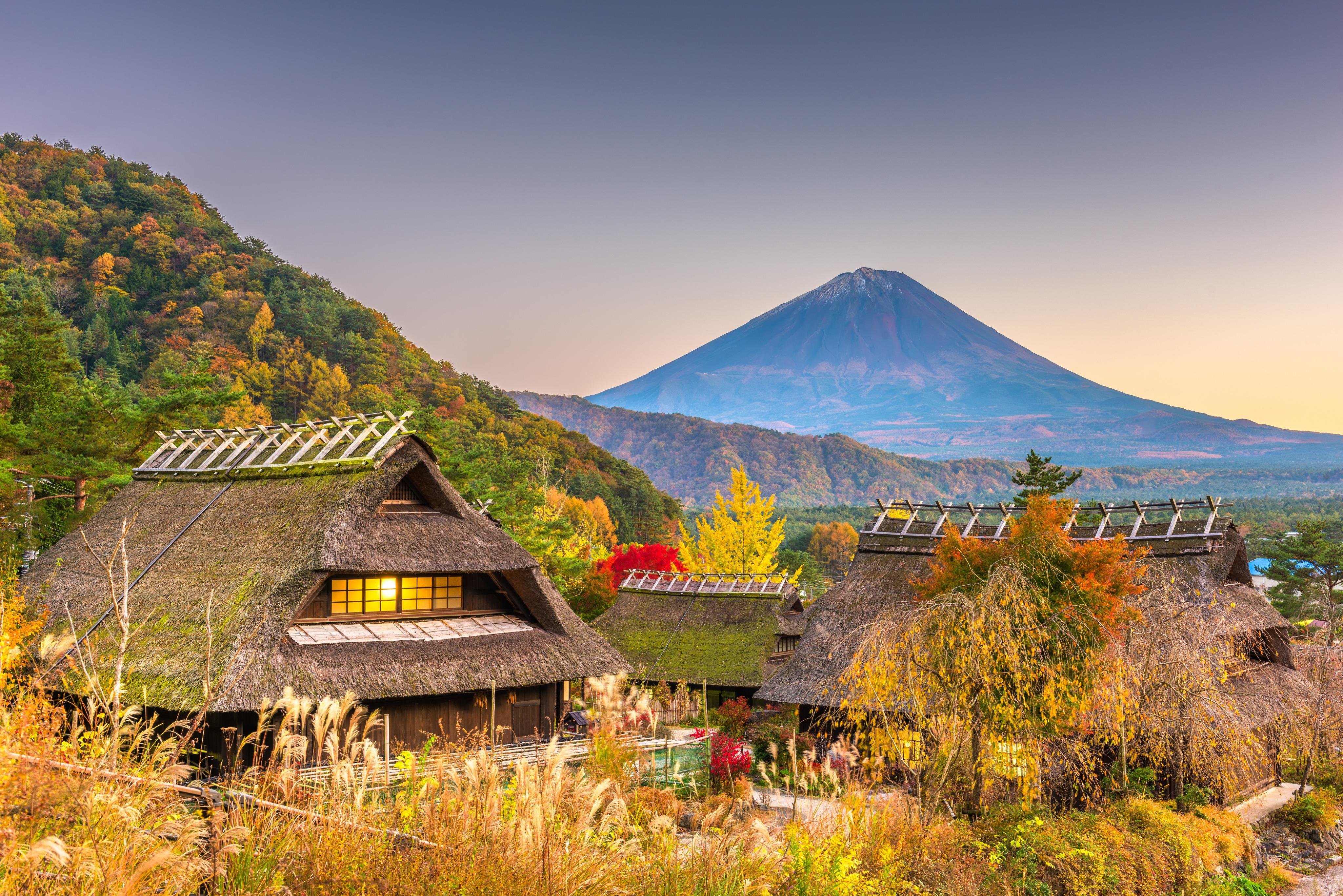 Mt Fuji day trip from Tokyo — image 6