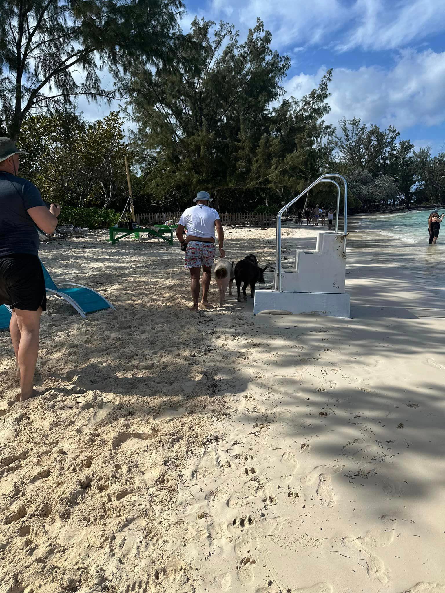 Nassau Catamaran Adventure: Swimming Pigs, Turtles & Snorkeling