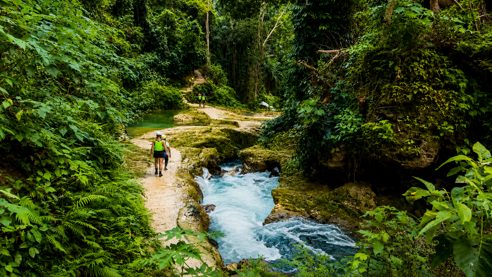 Cebu Whale Shark Swim & Kawasan Falls Canyoneering – Full-Day Adventure