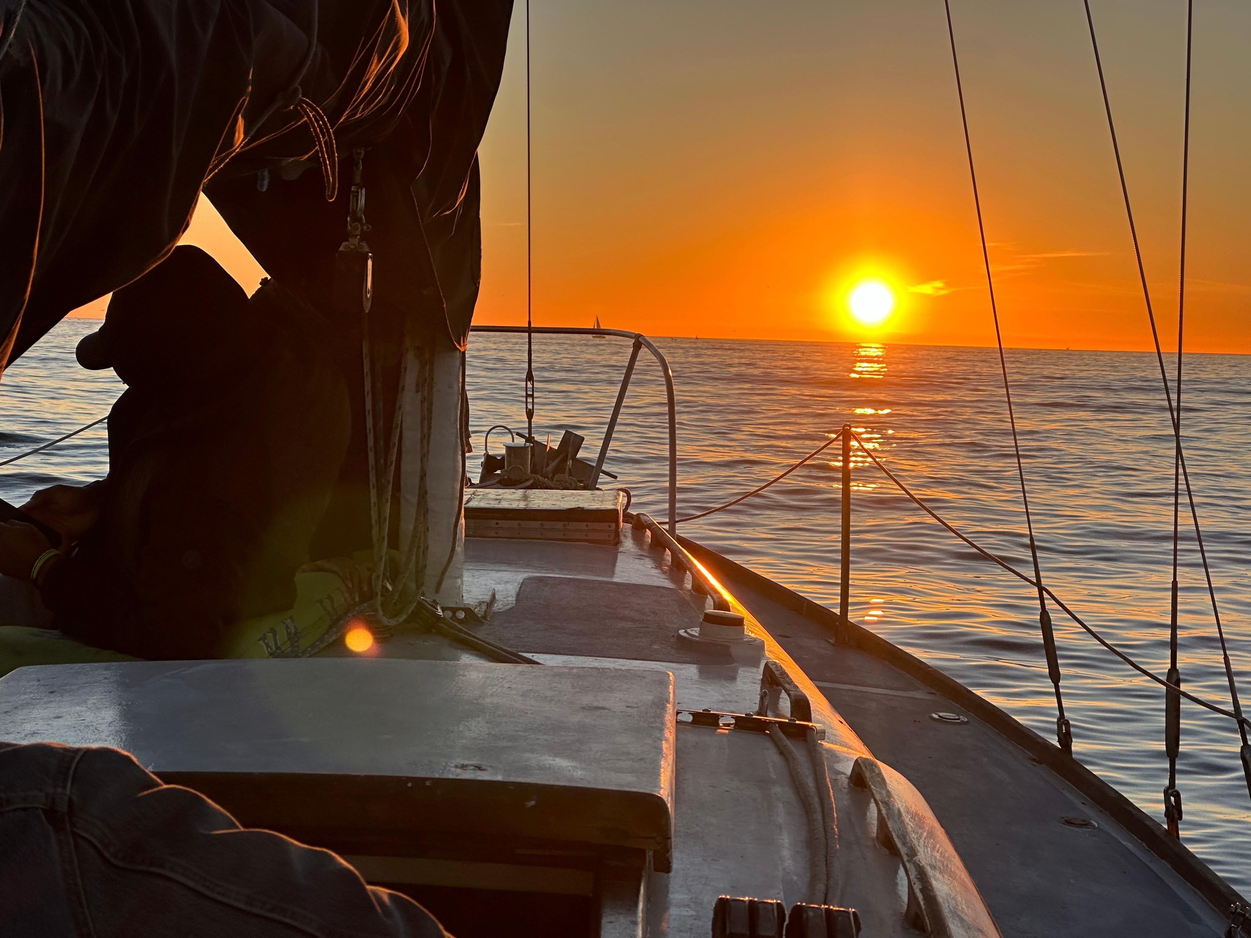 Open Ocean Dolphin Watching Boat Tour from Marina del Rey