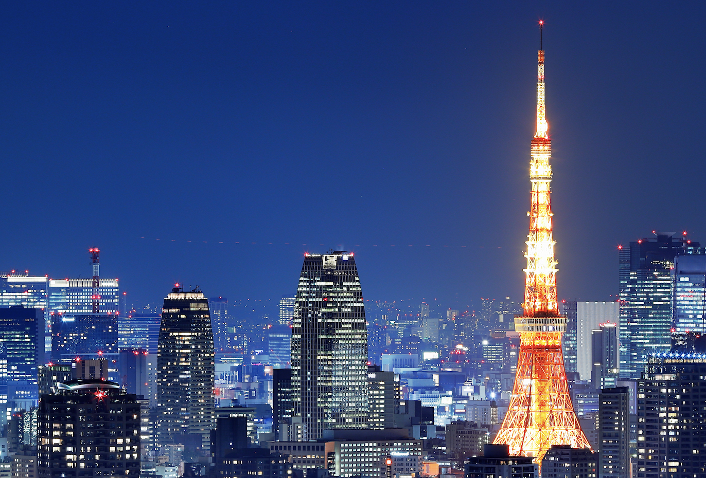 Tokyo Shinjuku After-Dark Private Tour: Golden Gai, Karaoke & Neon Streets