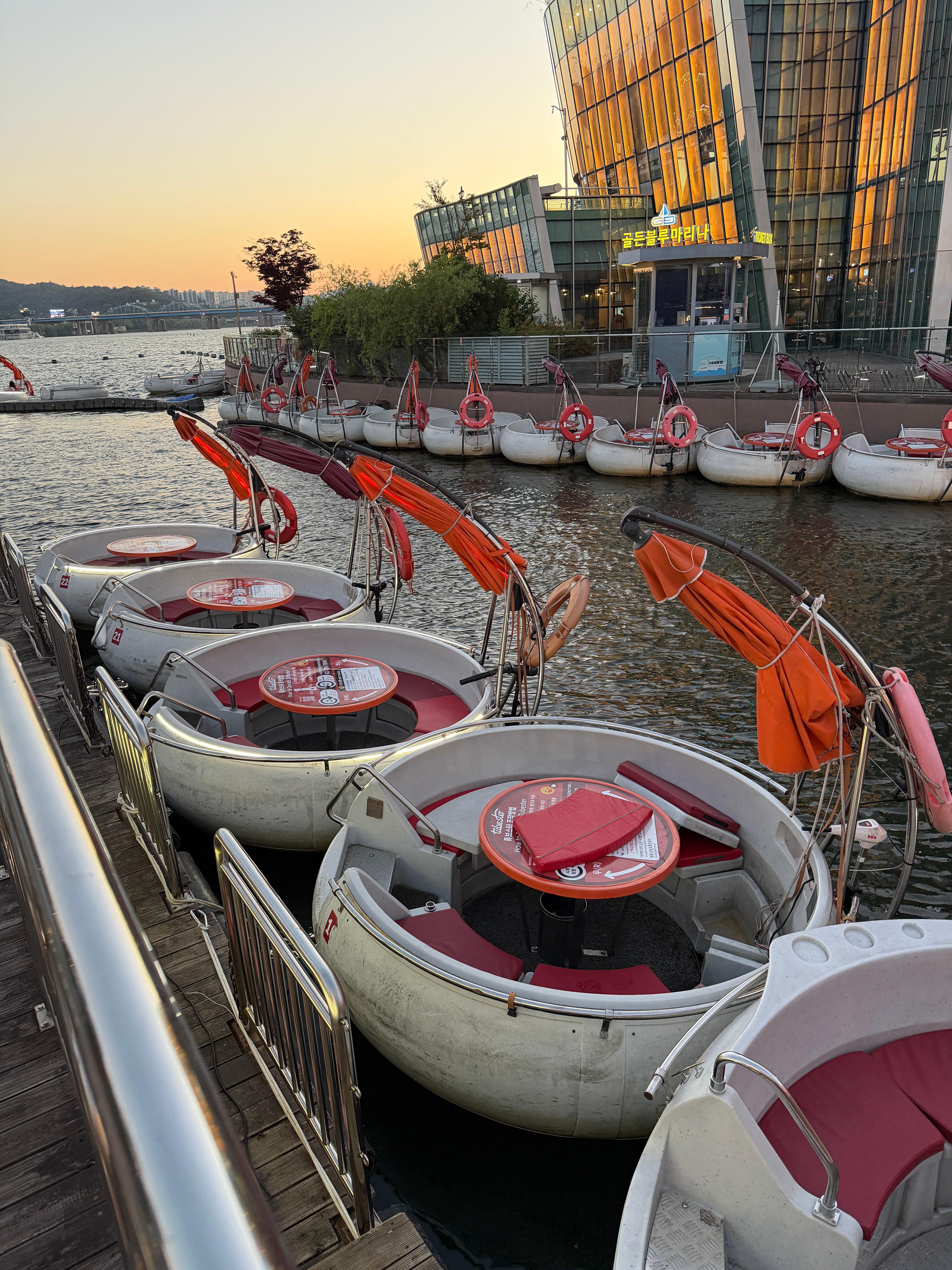 Seoul After Dark: Private 8-Hour Night Tour