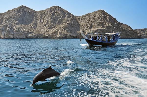 Musandam Fjords Dhow Cruise with Transfers & Lunch