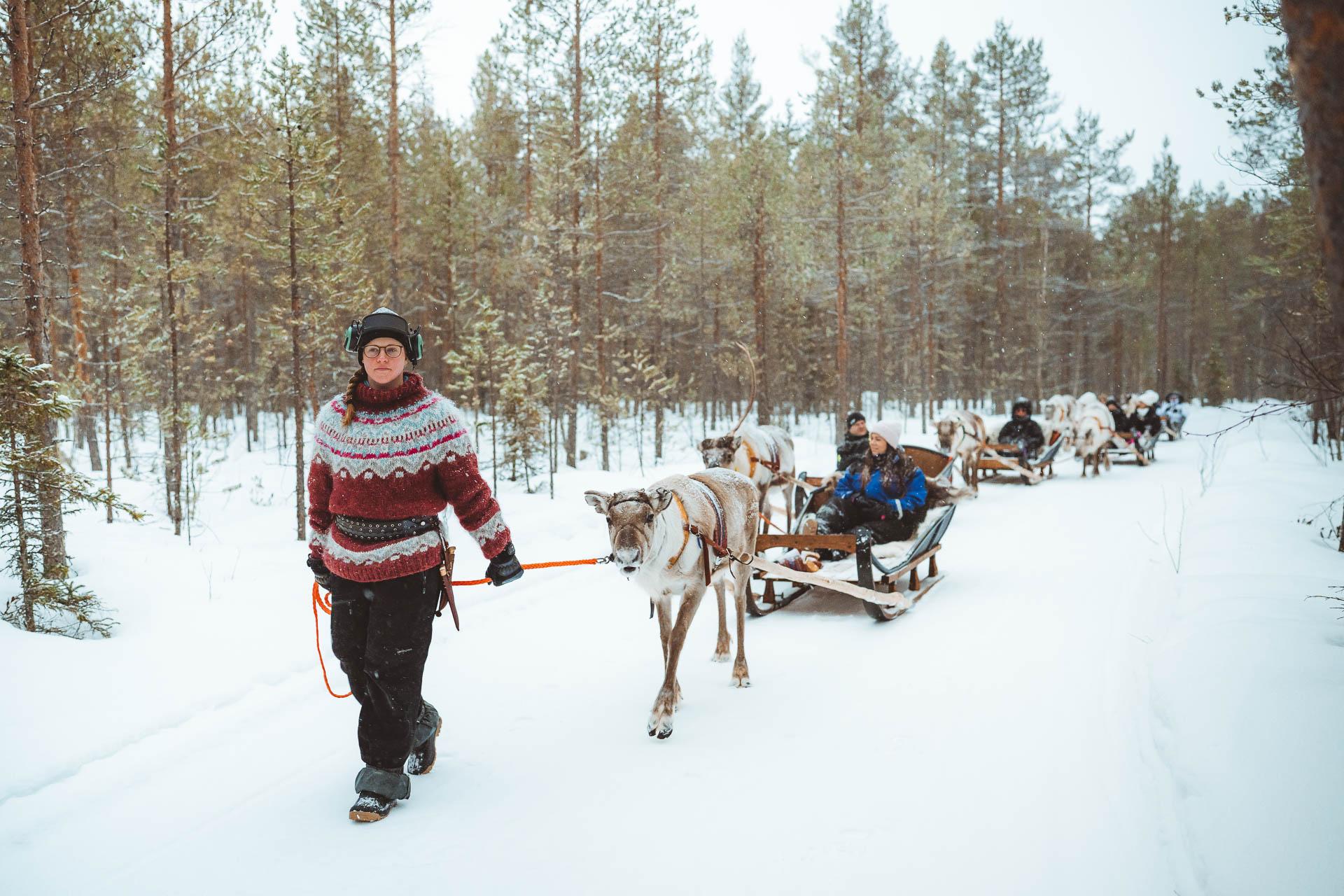 Rovaniemi Sustainable Reindeer Sleigh Ride at Apukka Resort