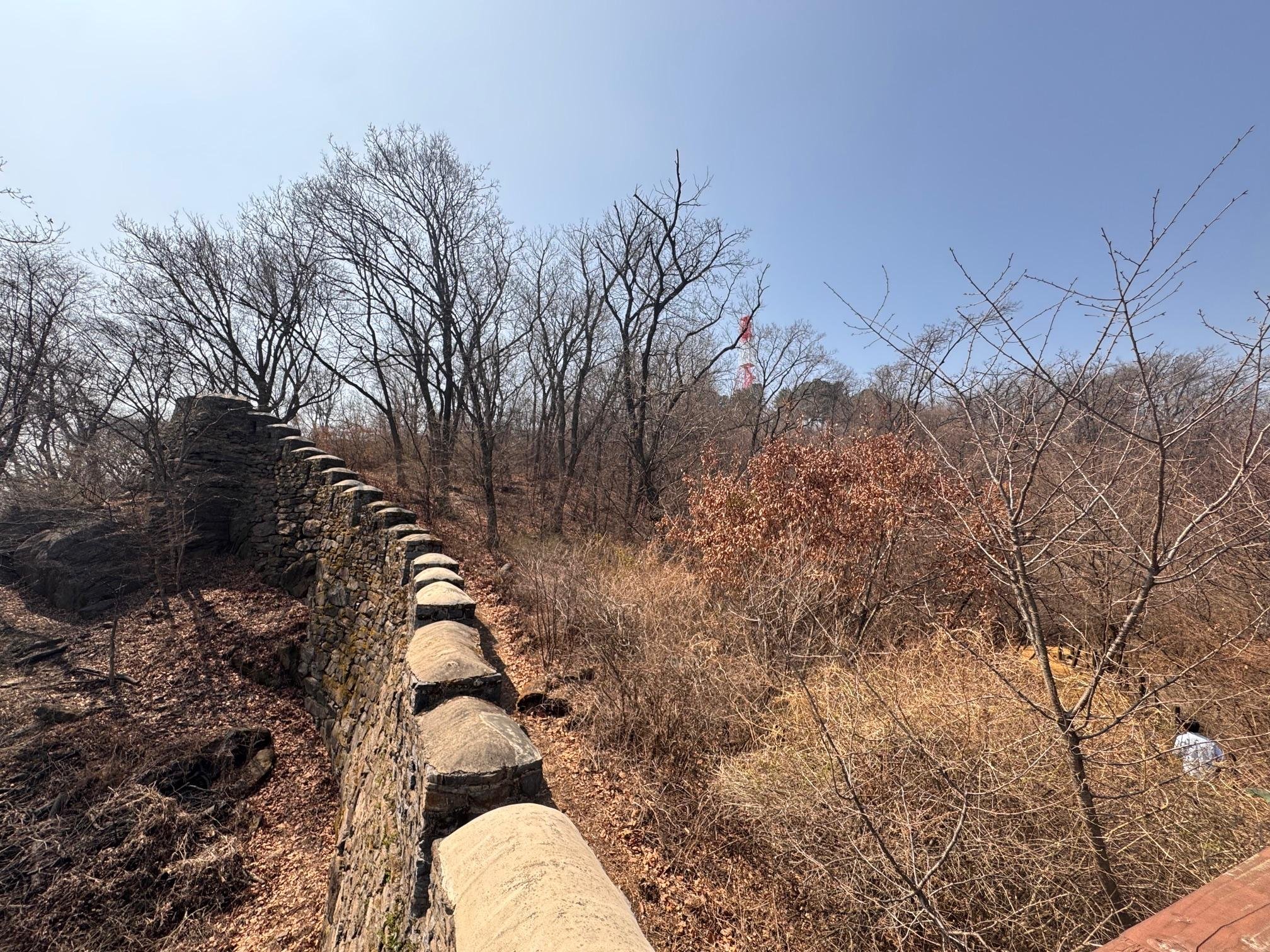Namsan Mountain City Wall Hike & Namdaemun Noodle Lunch