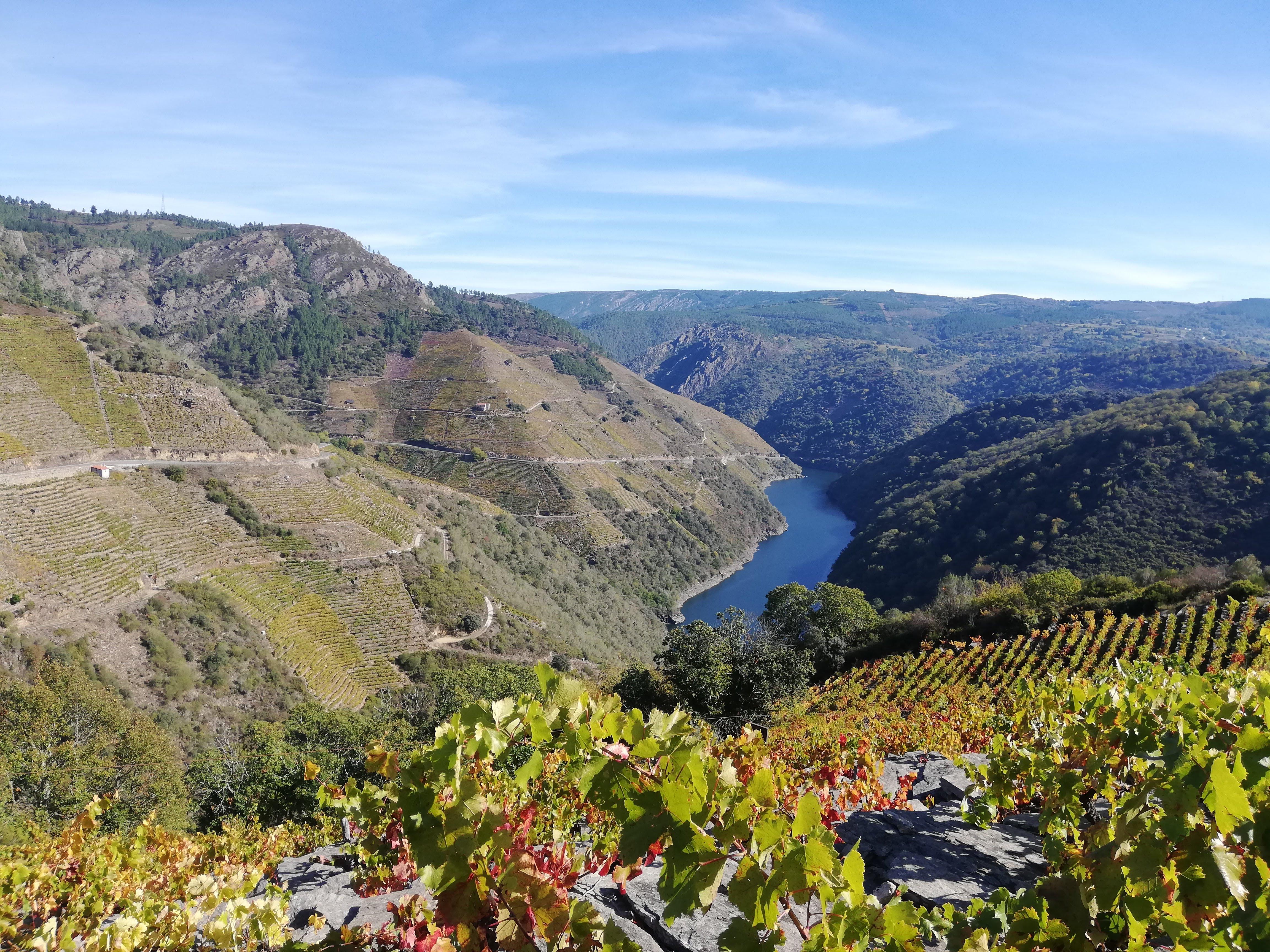 Ribeira Sacra River Cruise & Ourense Thermal City