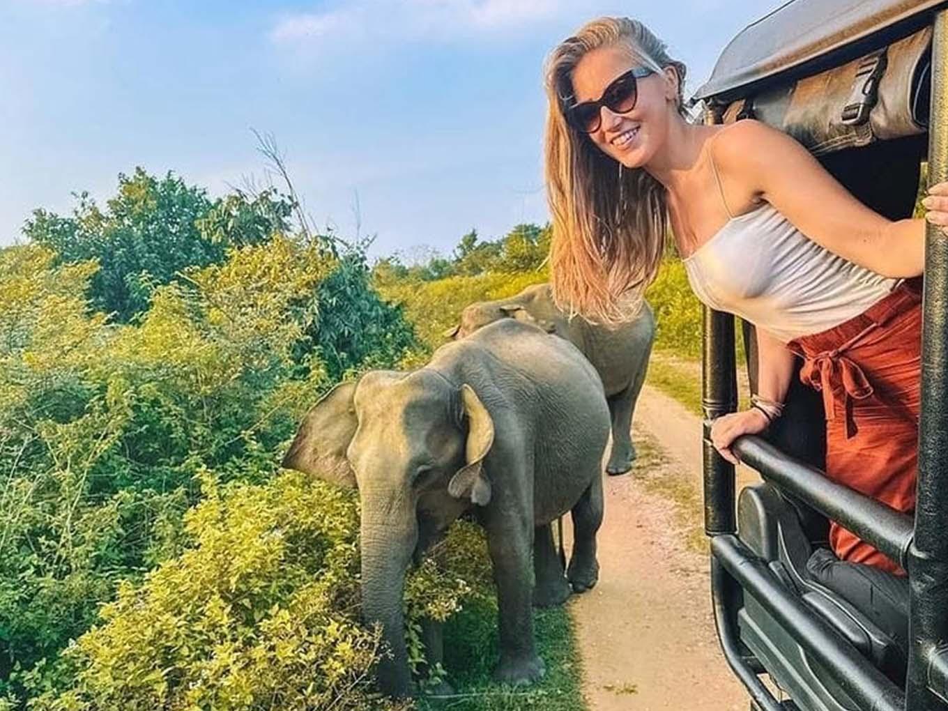 Minneriya National Park Wildlife Safari from Sigiriya