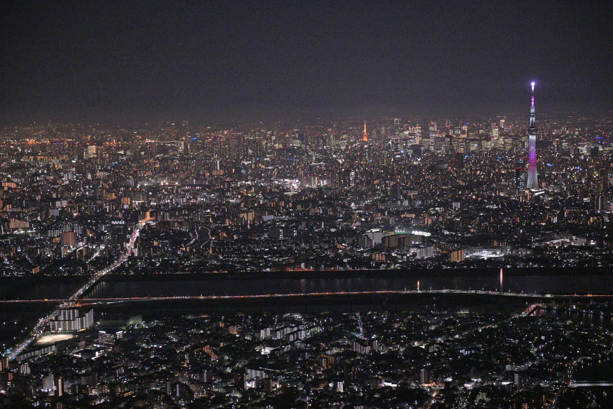 Tokyo helicopter tour view — image 5