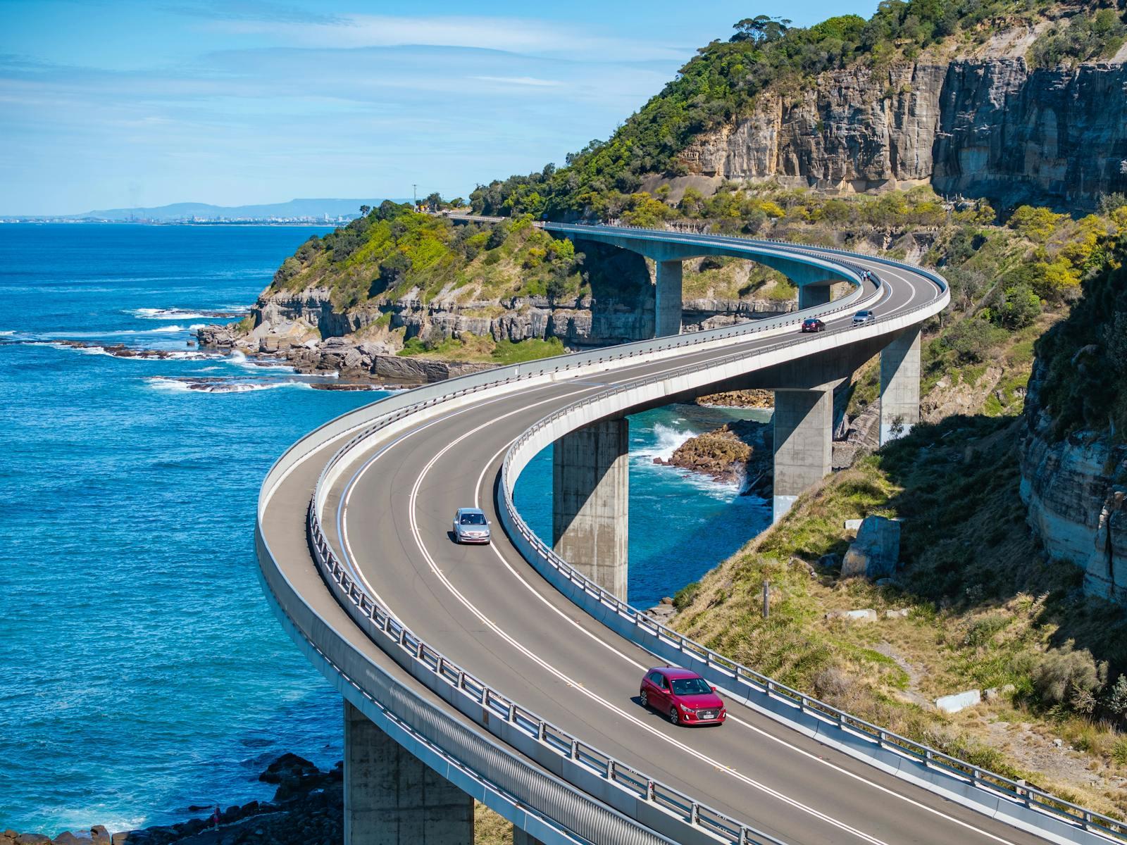 Illawarra Coast & Rainforest Wildlife Adventure