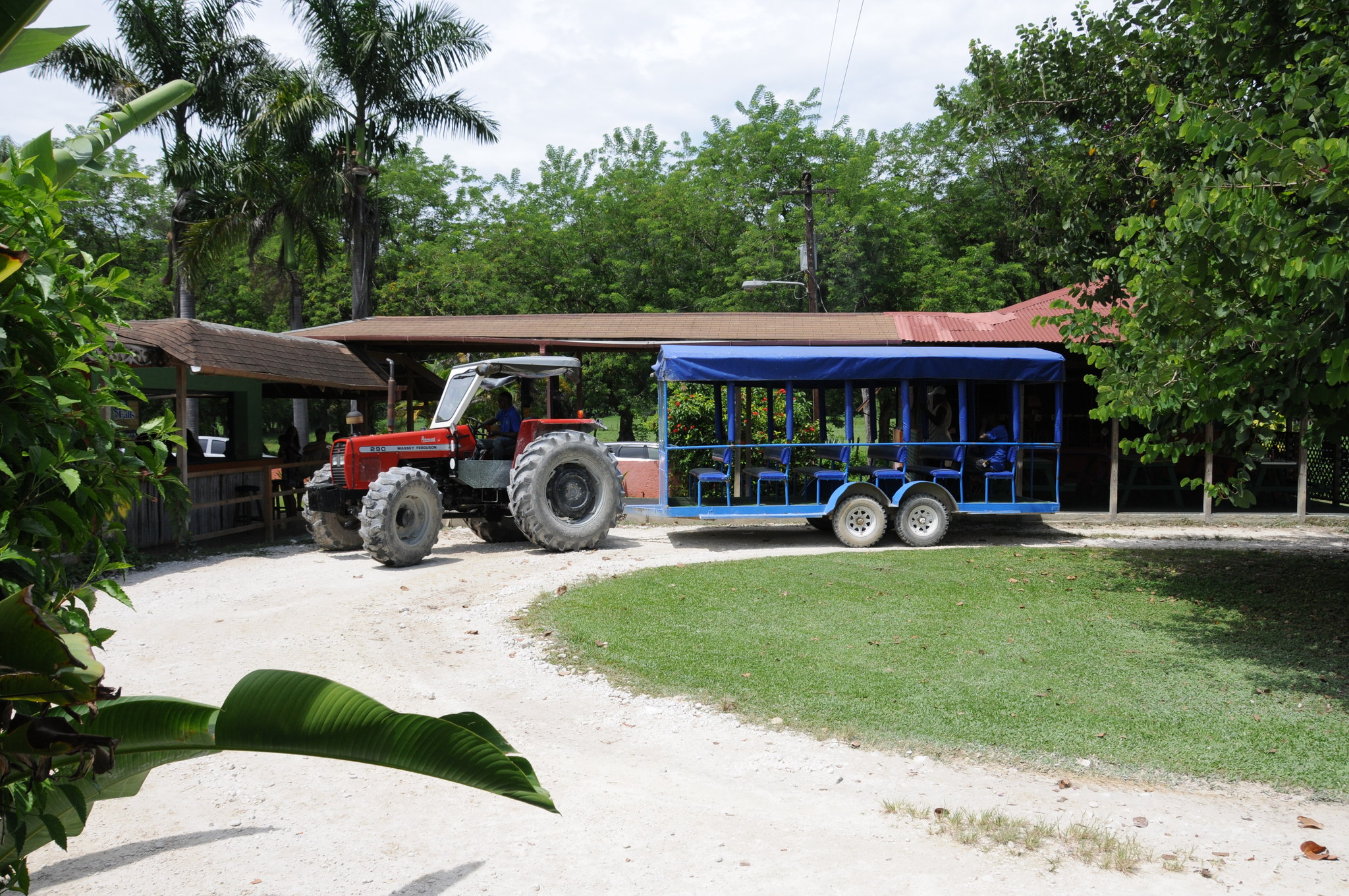 Jamaica South Coast: YS Falls & Black River Safari