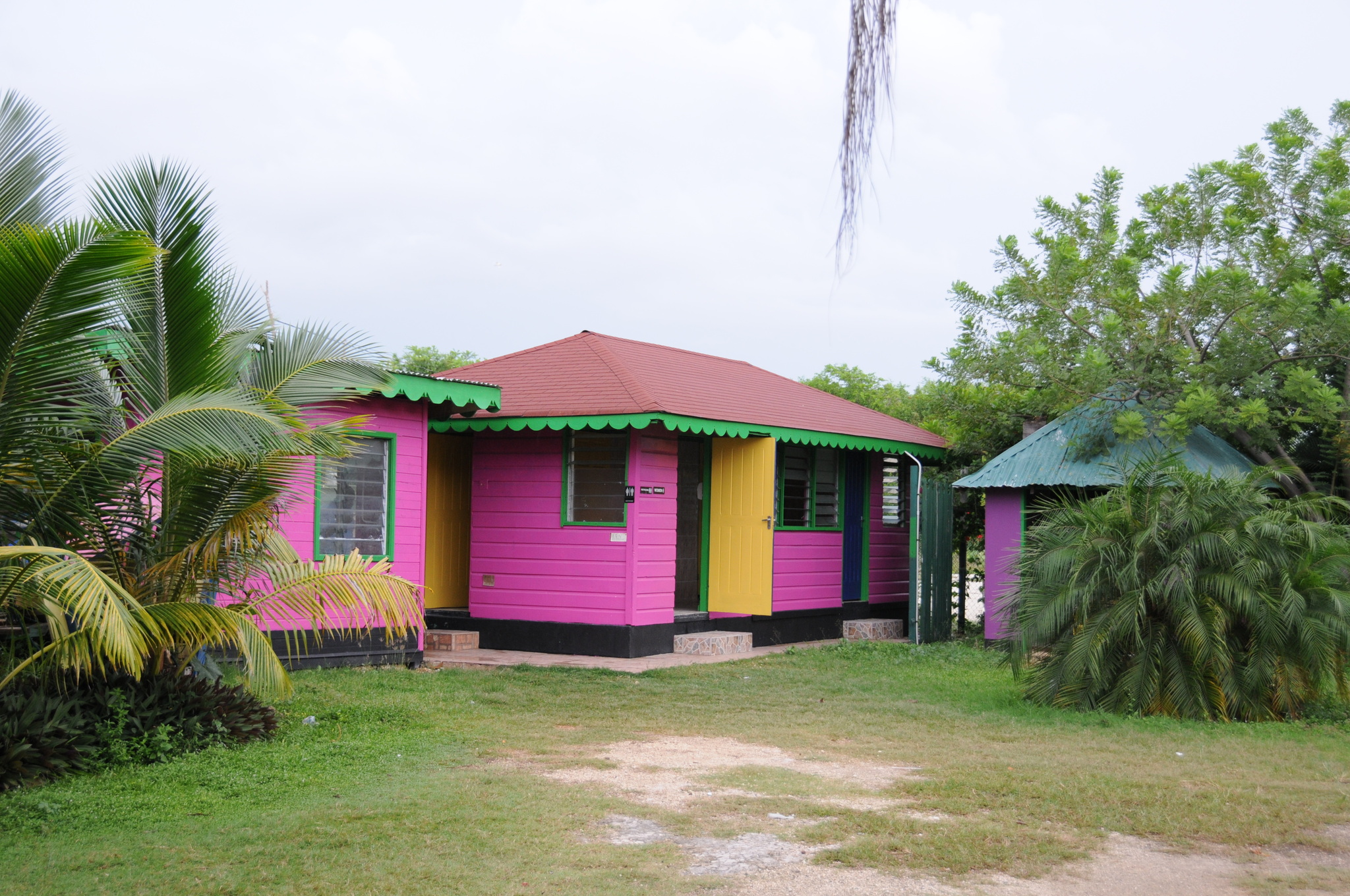 Jamaica South Coast: YS Falls & Black River Safari