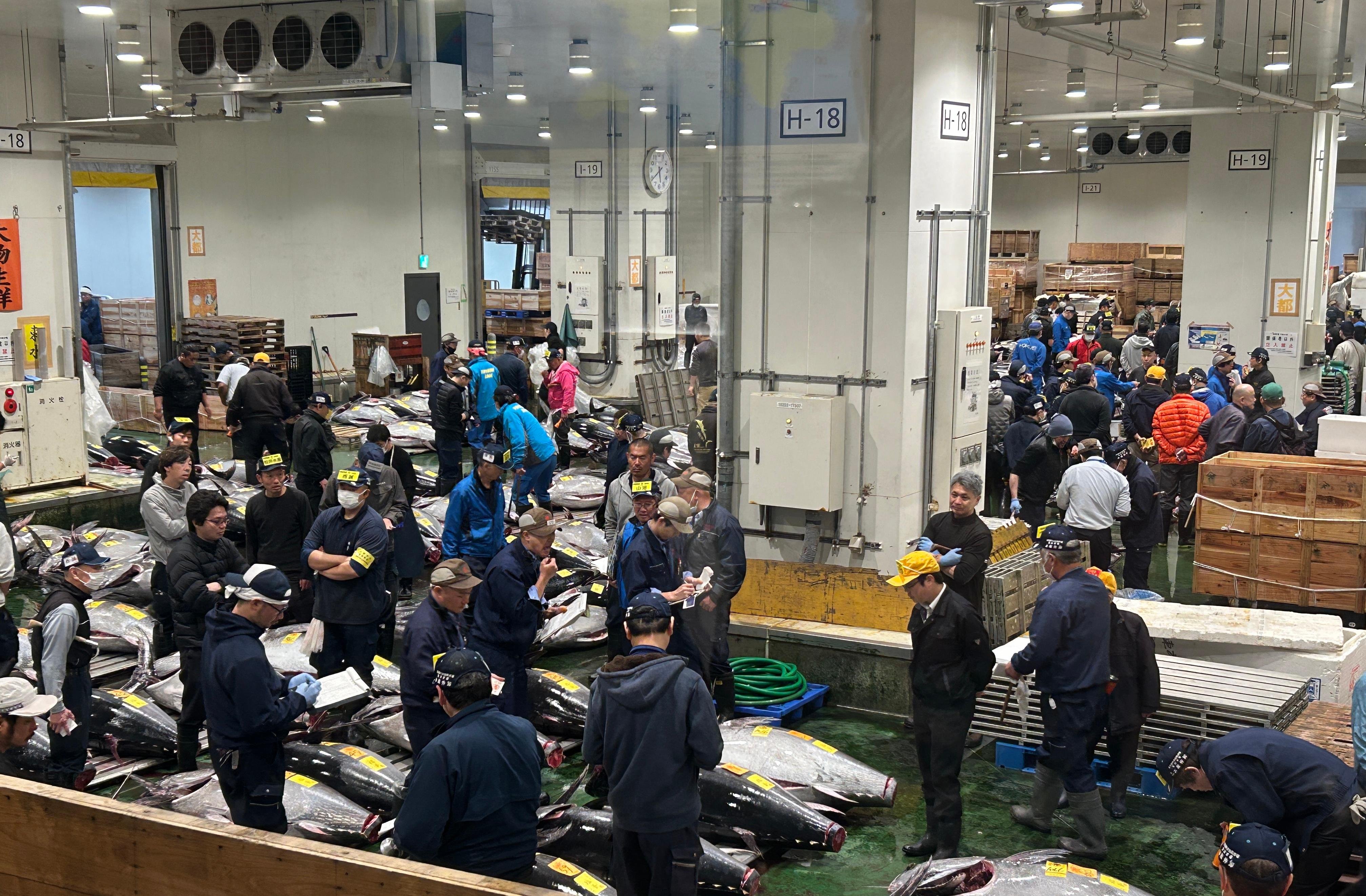 Private Toyosu & Tsukiji Market Adventure with Tuna Auction