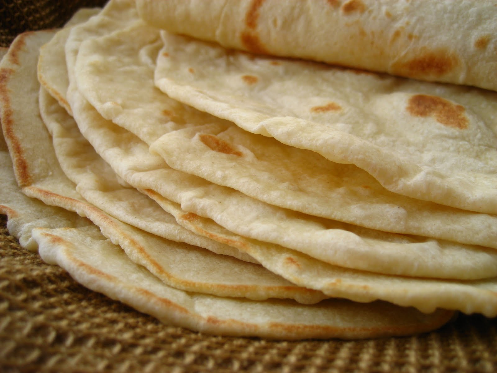 Playa del Carmen Food Hoppers Culinary Tour