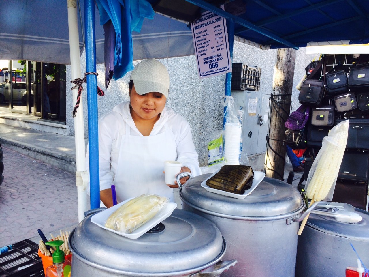 Playa del Carmen Food Hoppers Culinary Tour