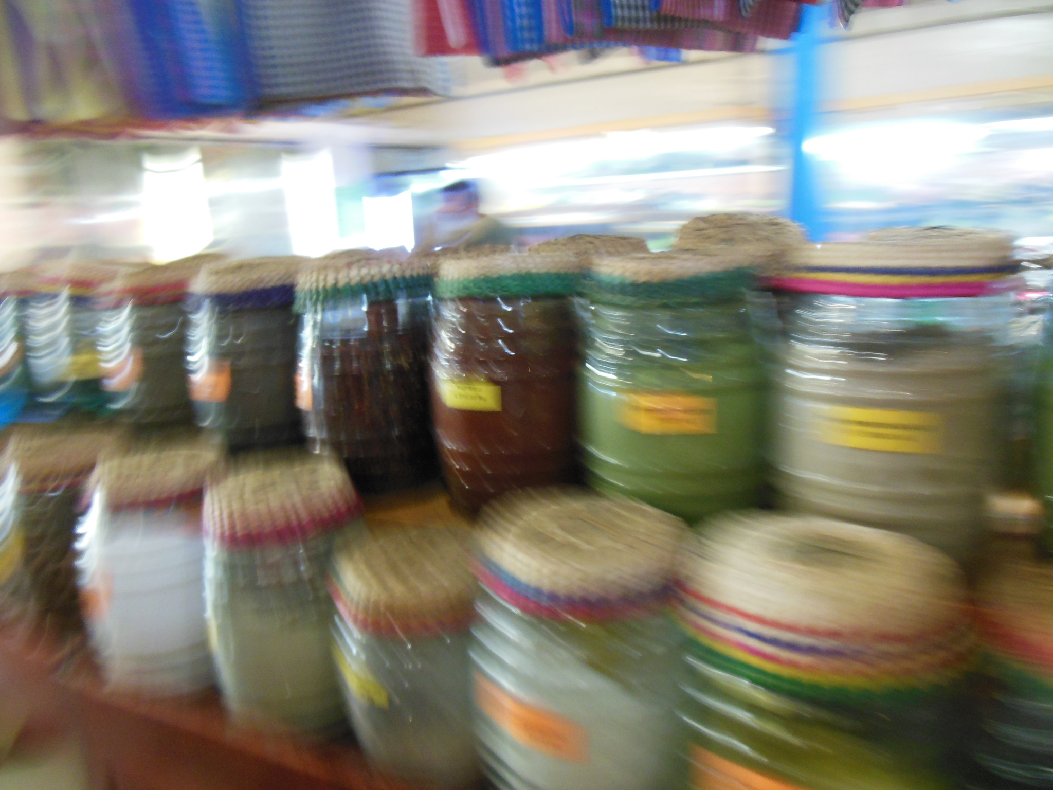 Playa del Carmen Food Hoppers Culinary Tour