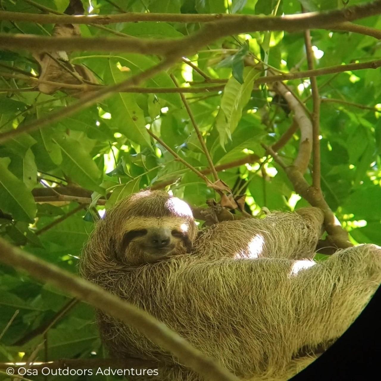 Corcovado National Park Private 2-Day Couple's Adventure