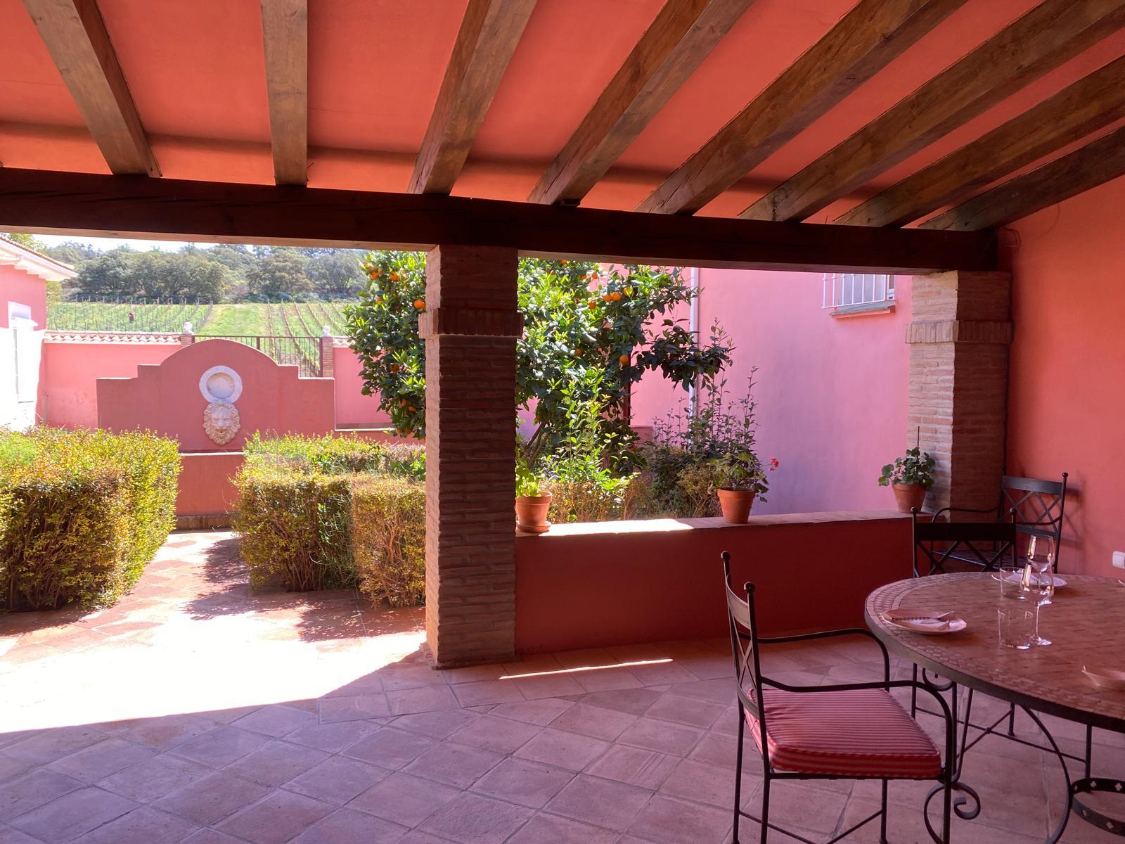 Ronda Vineyard Experience with Premium Wine Tasting