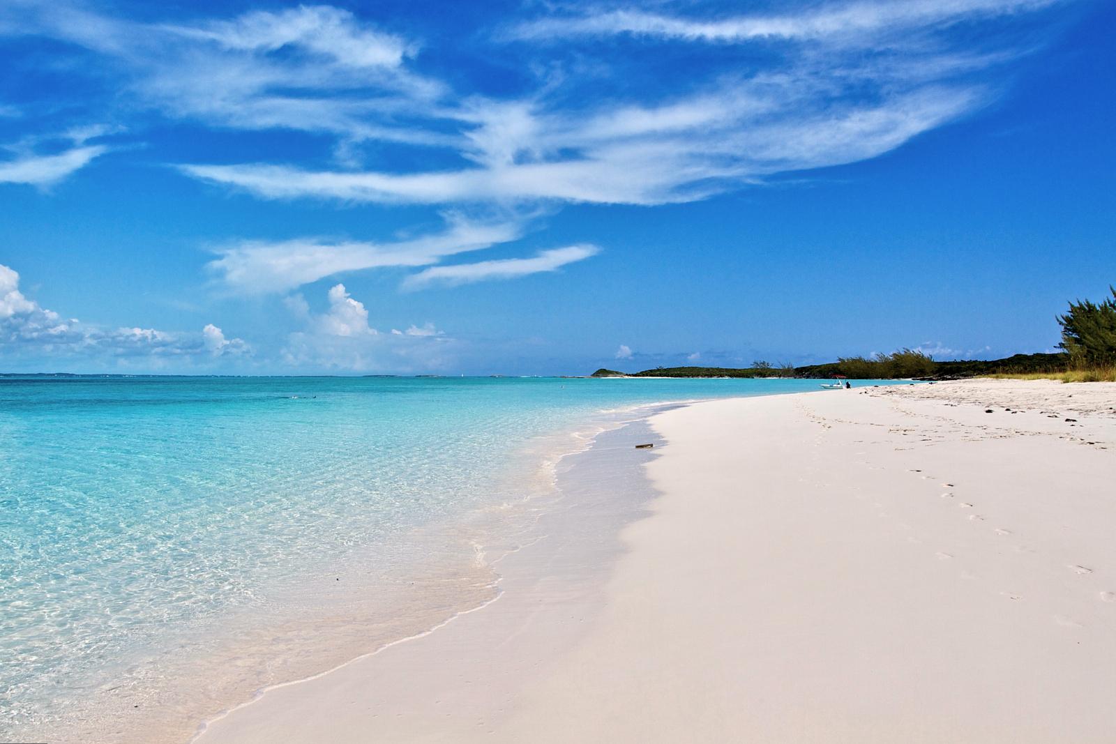 Premium Exuma Cays Day Tour: Flight, Swimming Pigs & Sharks