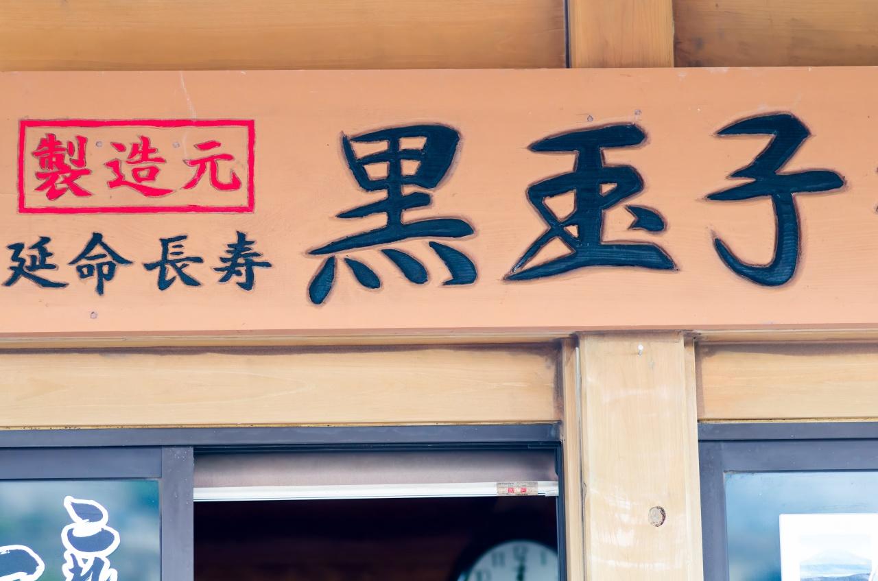 Hakone & Enoshima Day Tour: Ropeway, Pirate Ship & Mt. Fuji Views
