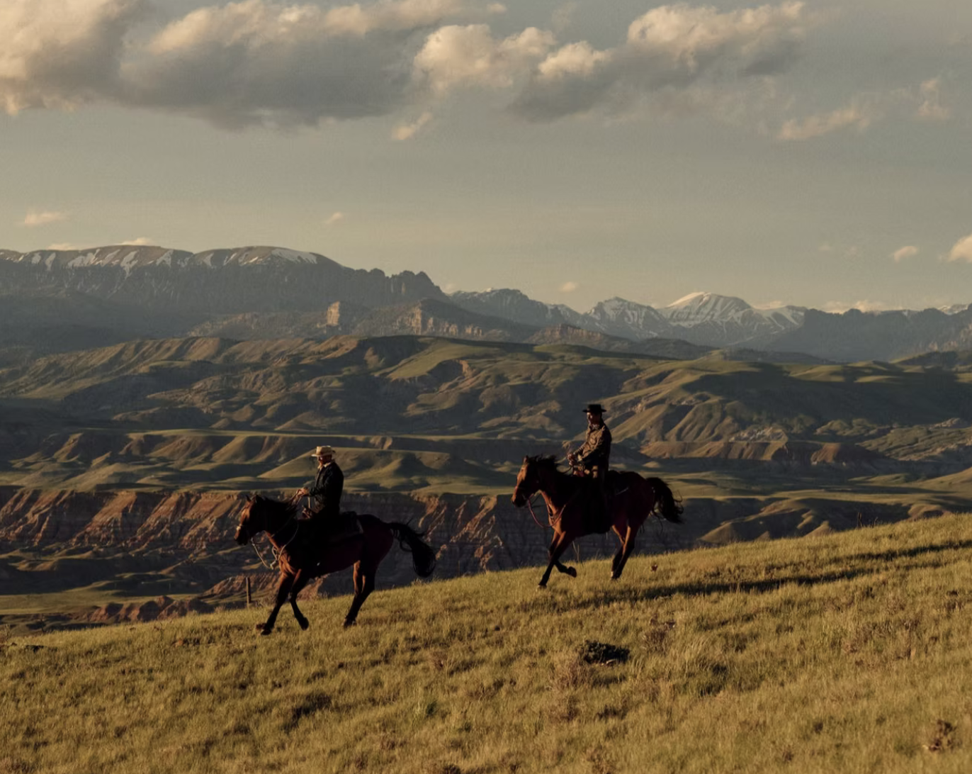 Jackson Hole: Wildlife Safari & Cowboy Ranch Day Trip