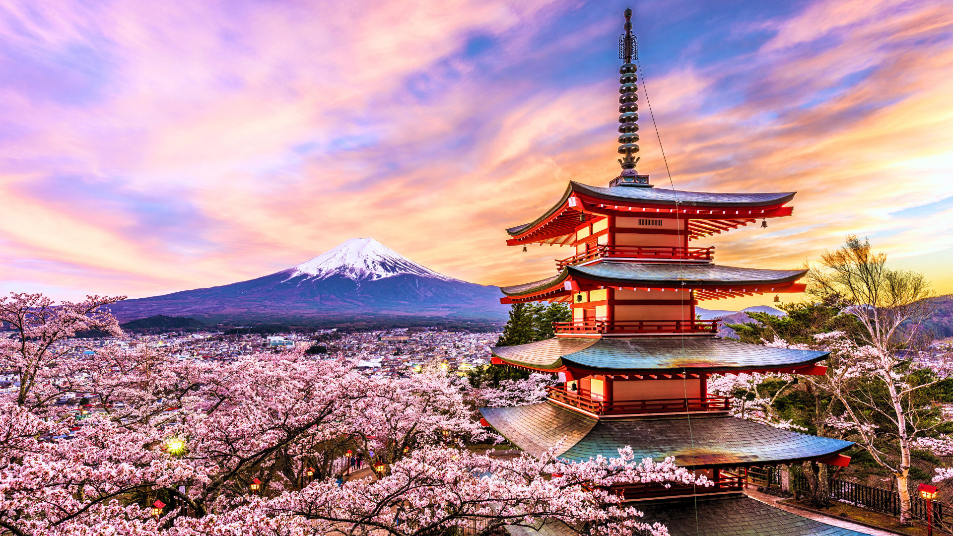 Private Mt. Fuji & Hakone Full-Day Tour from Tokyo