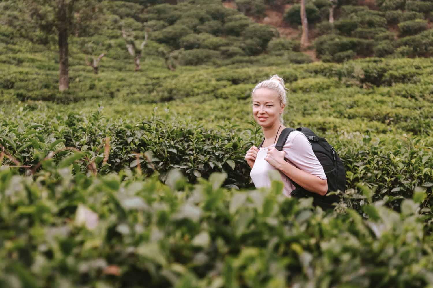 7-Day Private Sri Lanka Heritage & Wildlife Safari