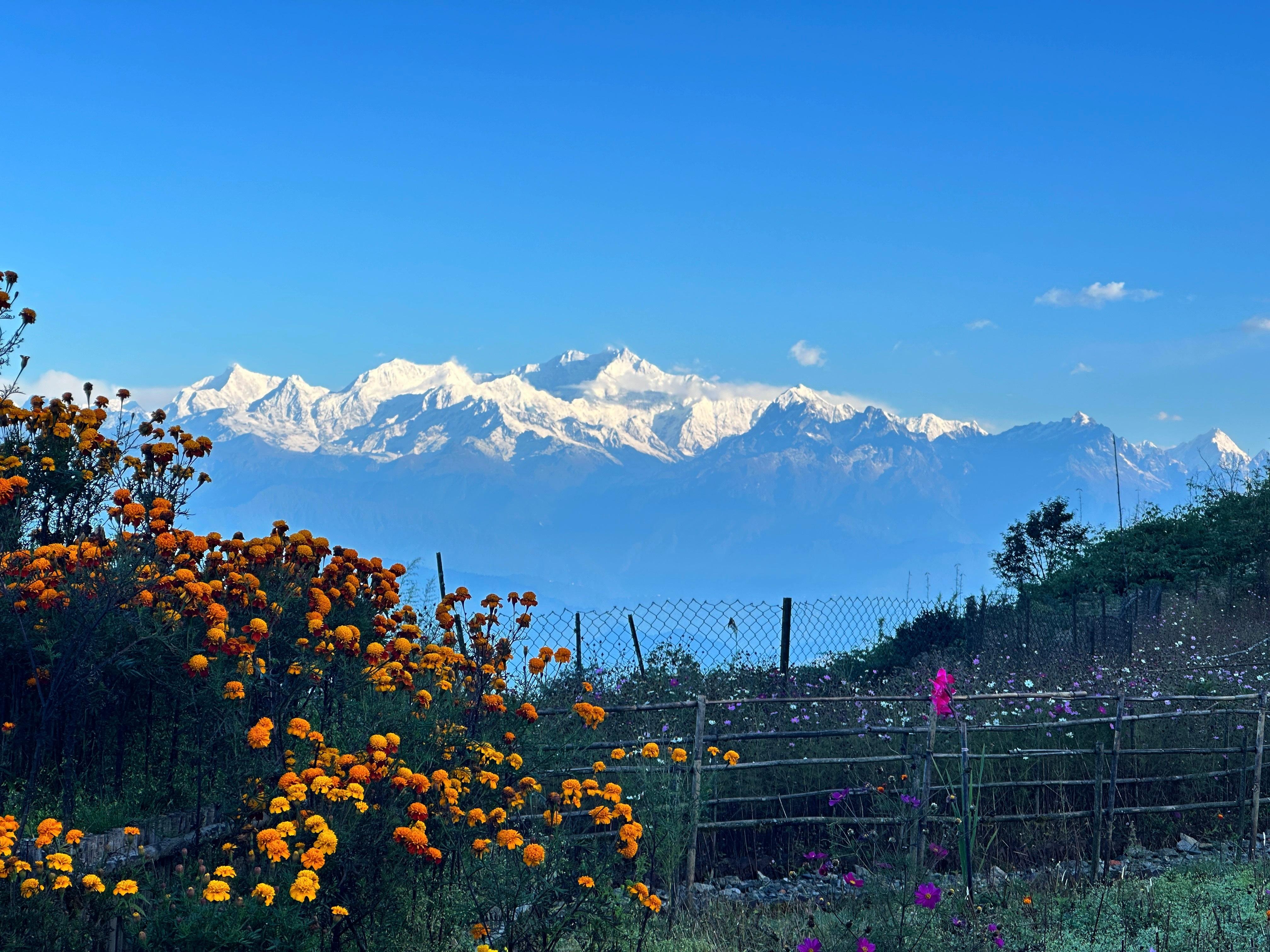 Darjeeling: Tiger Hill Sunrise & Guided Trekking Day Tour