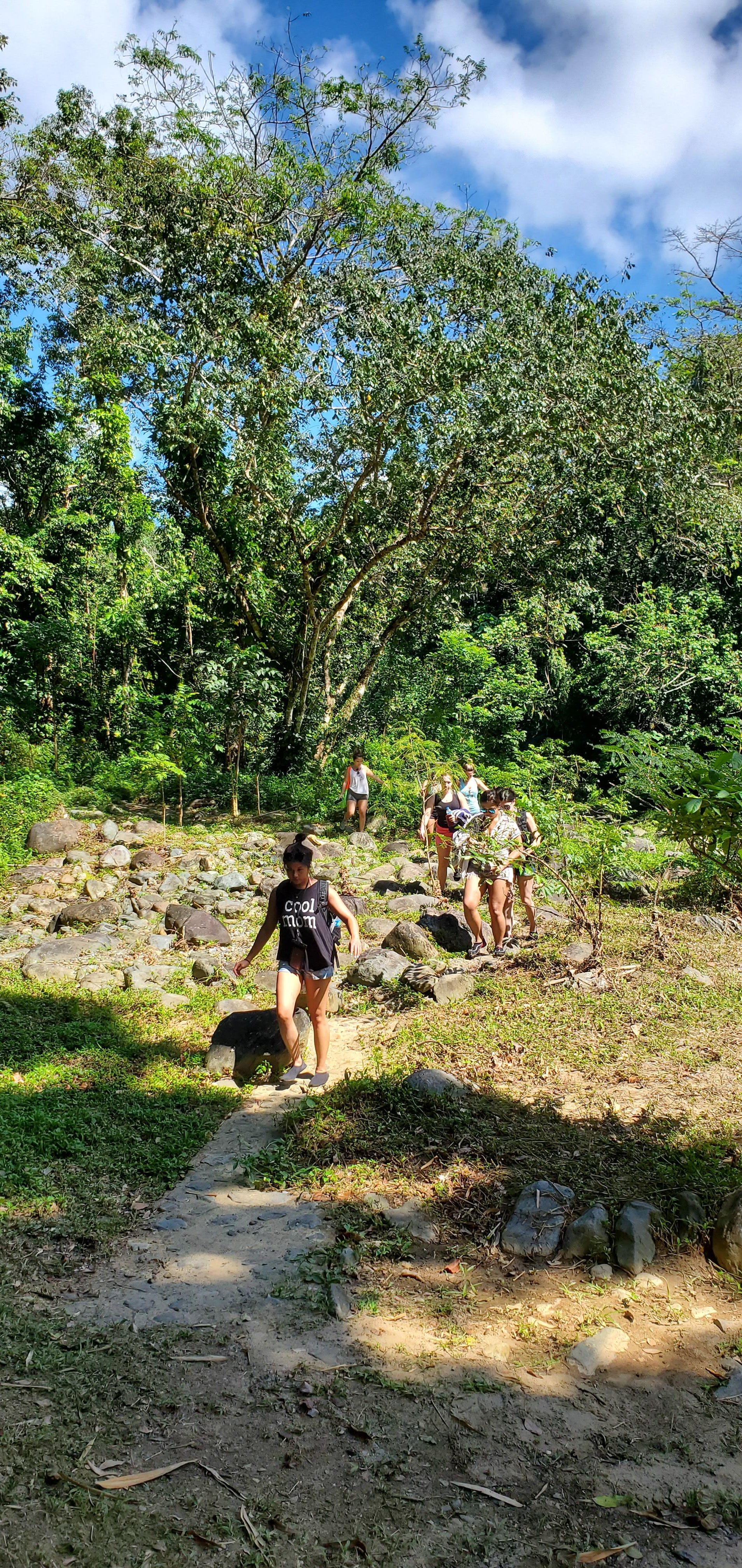 El Yunque Rainforest Adventure: Ziplining, River Swim & Luquillo Beach