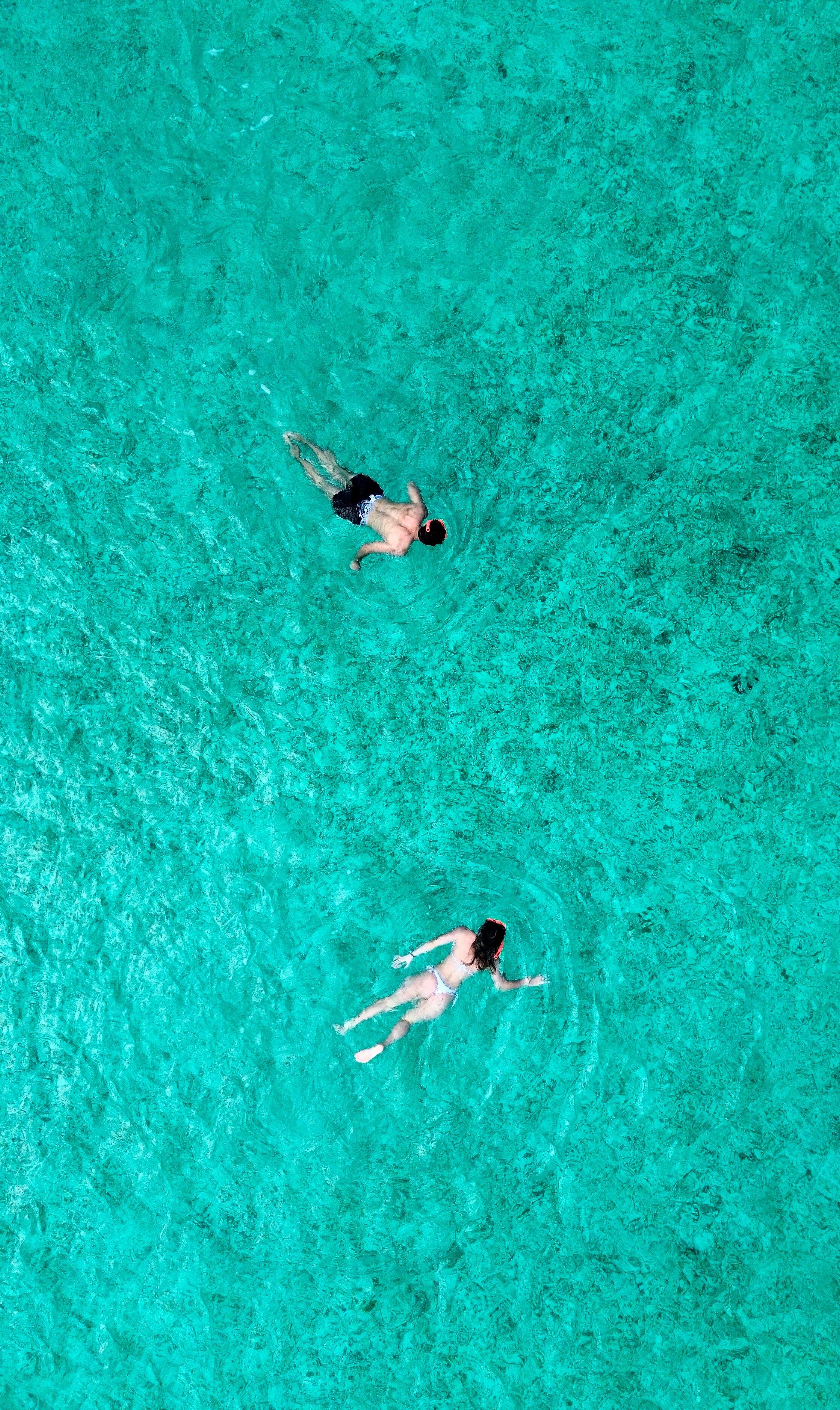 Nassau Private Boat & Snorkel Adventure