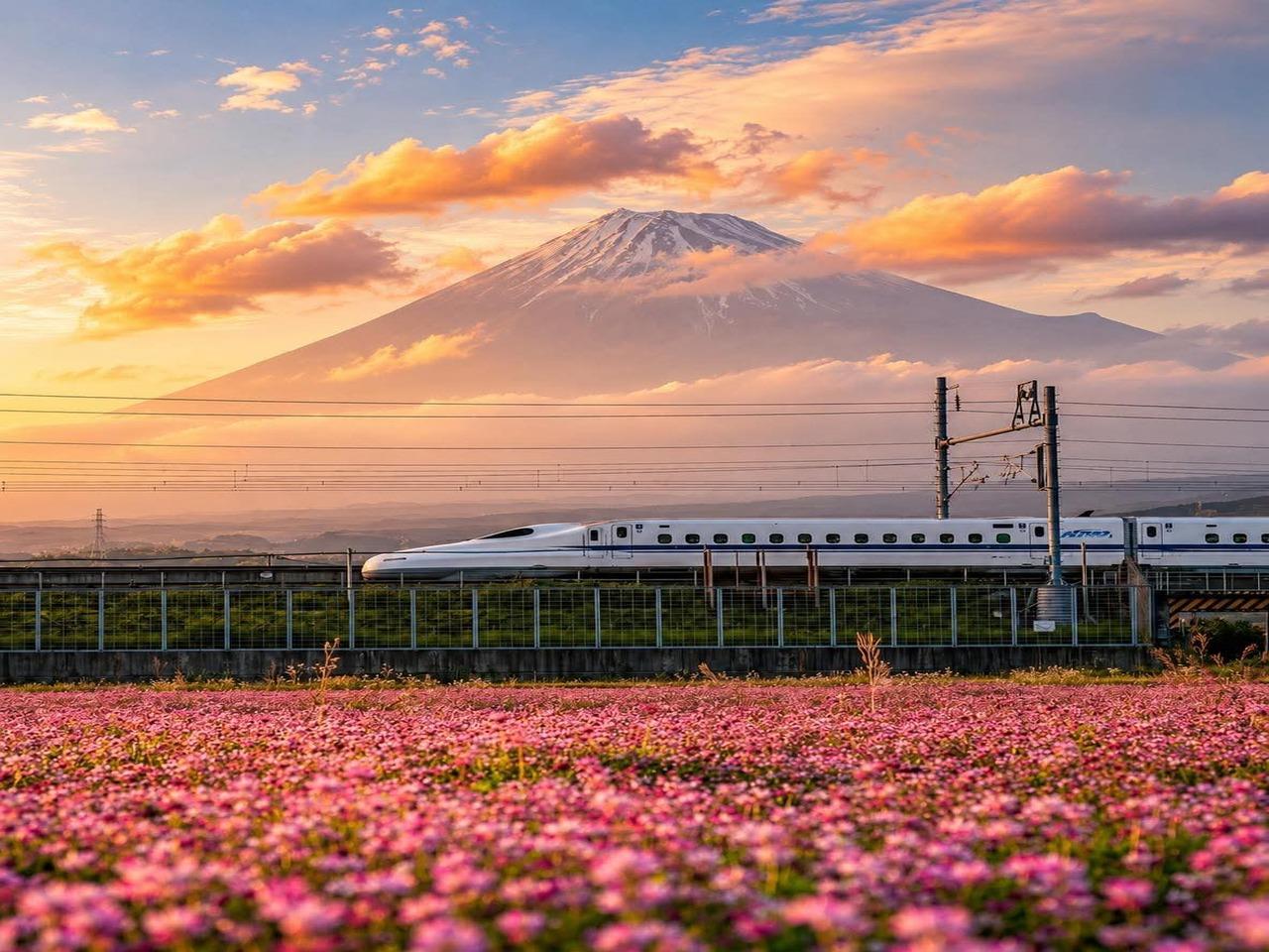 Private Mt. Fuji Day Tour from Tokyo