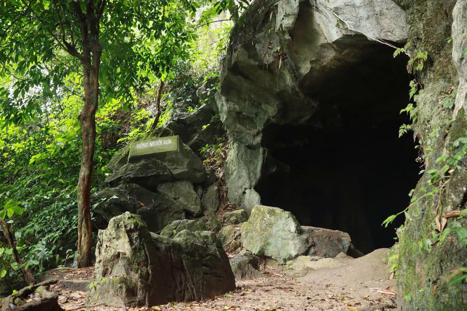 Cuc Phuong National Park: Wildlife, Cave & Jungle Trek Day Tour