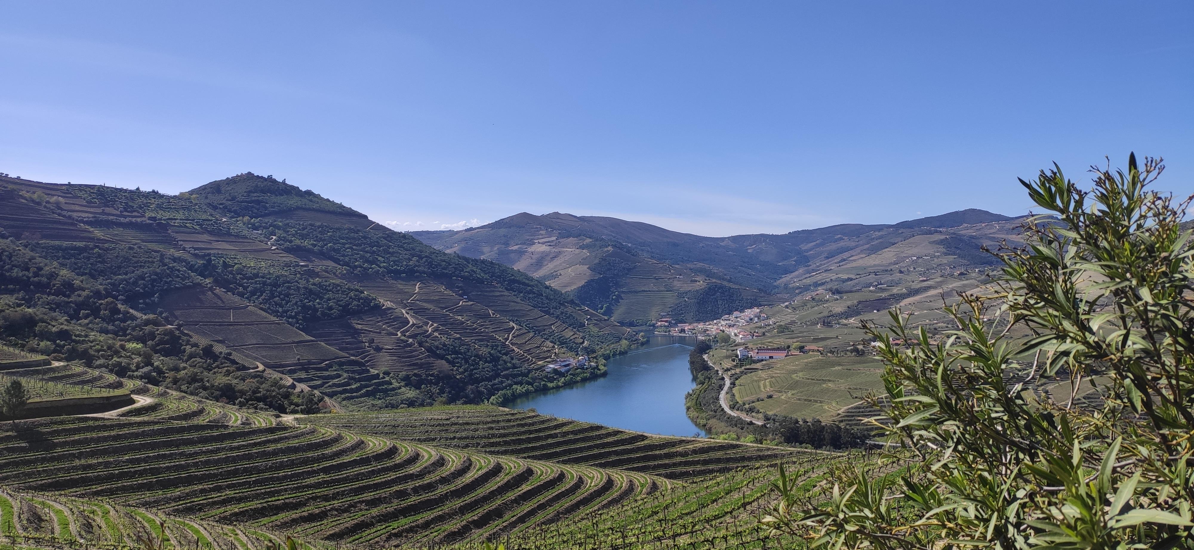 Douro Valley Full-Day Tour: Boat Ride, Twin Winery Tastings & Lunch