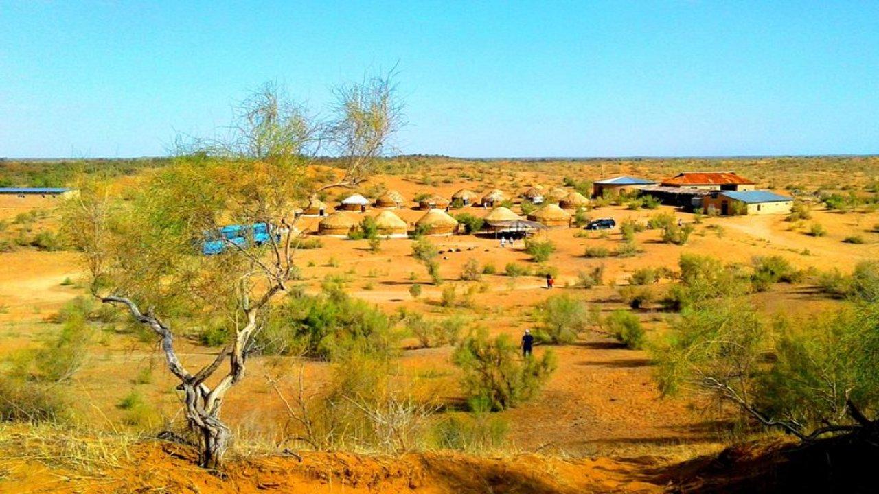 Two-Day Kyzylkum Desert Yurt Camp Experience