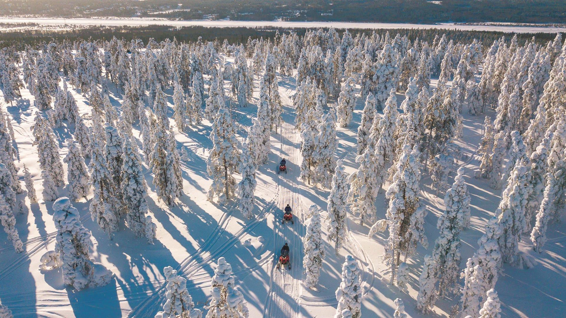 Rovaniemi Arctic Forest Snowmobile Safari