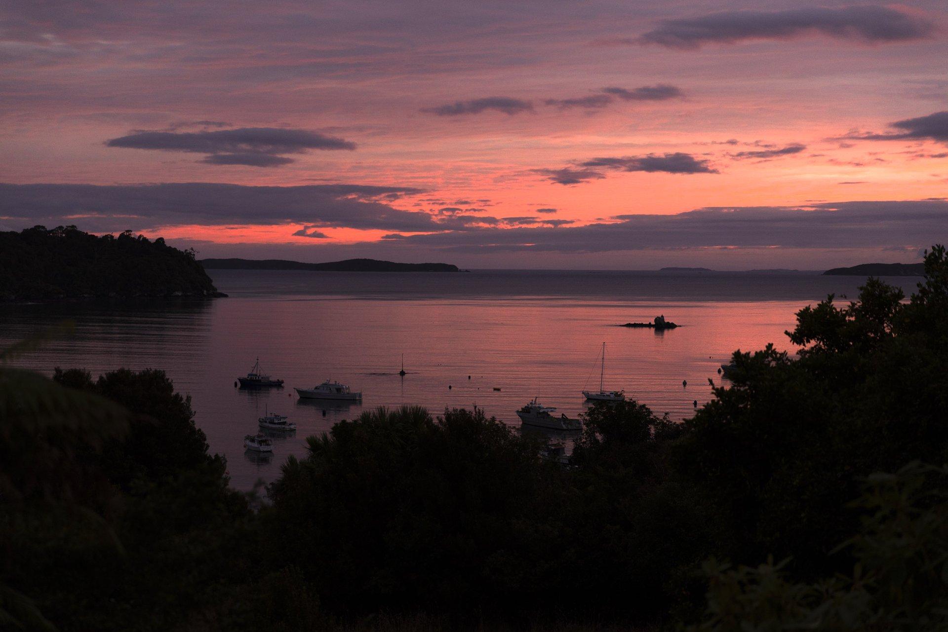 South Island tour photo — image 4