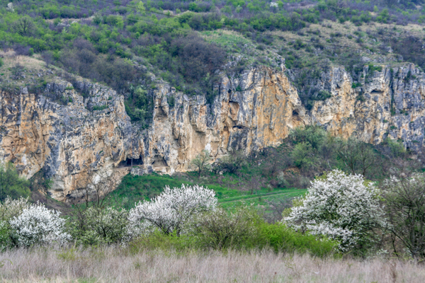 Bulgaria Discovery: Small-Group Day Tour from Bucharest