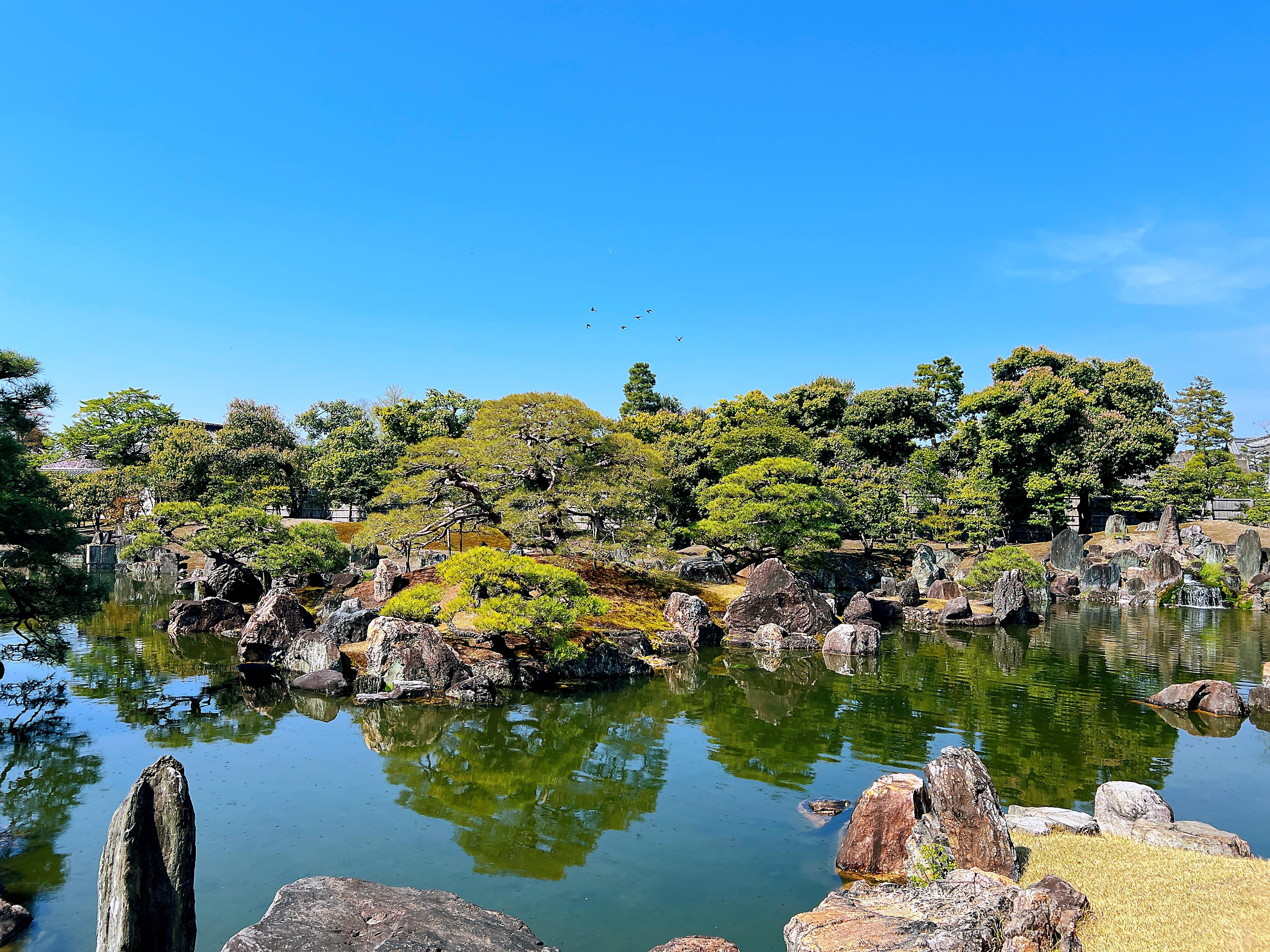 Kyoto Nijo-jo Castle: Private Samurai & Shogun History Tour