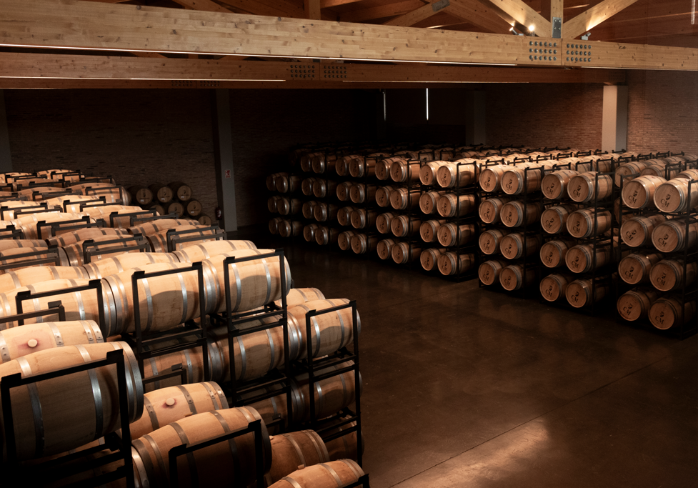 CM Matarromera Winery Experience in Rioja Sonsierra
