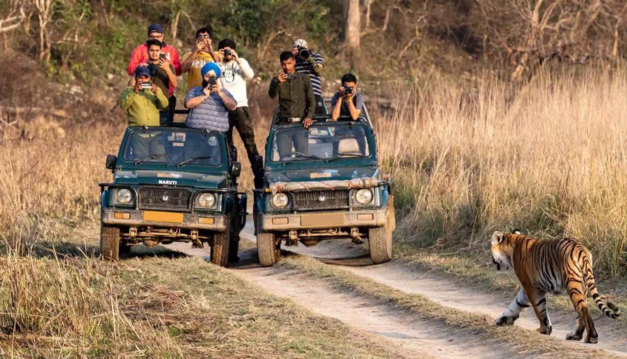 3-Day Ranthambore Tiger Safari Expedition from Delhi