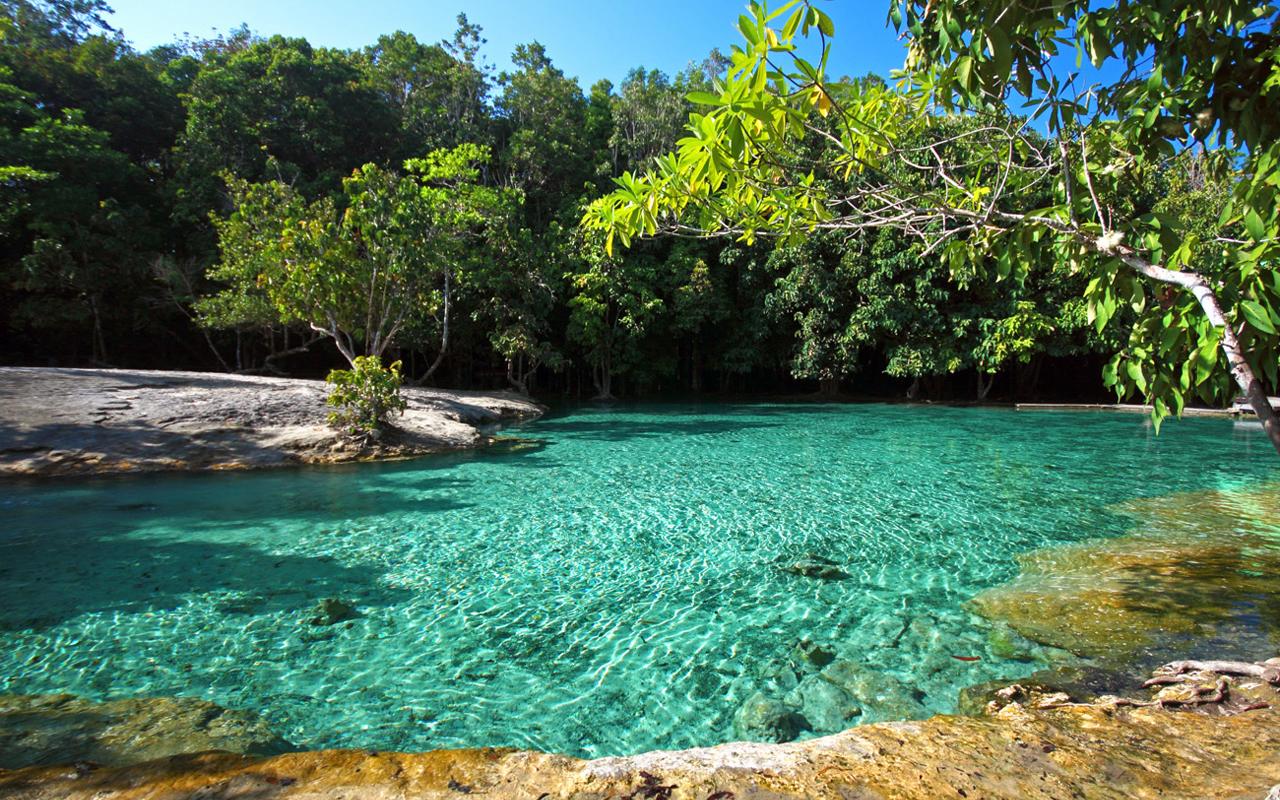 Krabi Jungle Day Tour: Hot Springs, Emerald Pool & Tiger Cave Temple