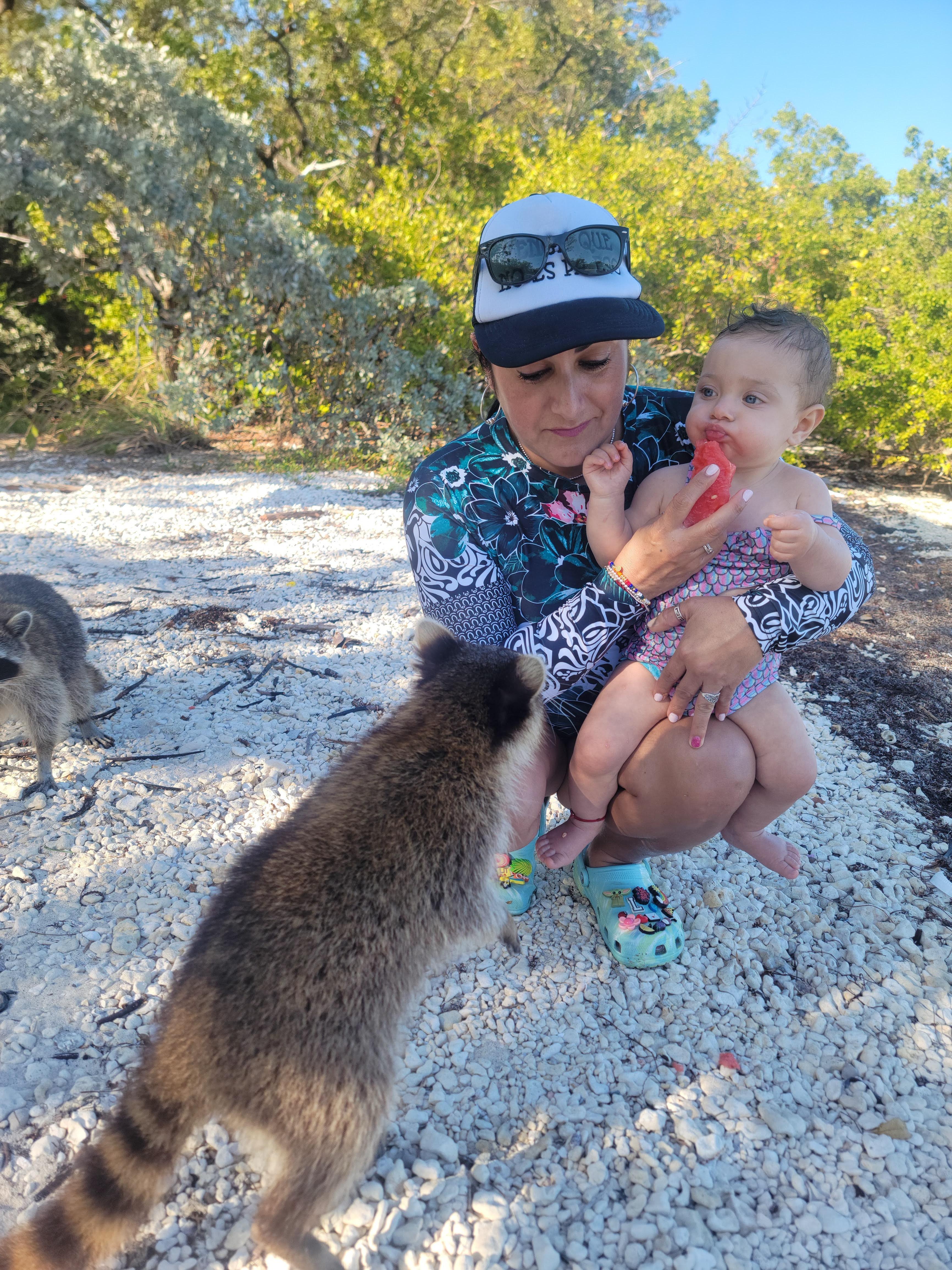 Raccoon Island: Exploration on SUP/Kayak