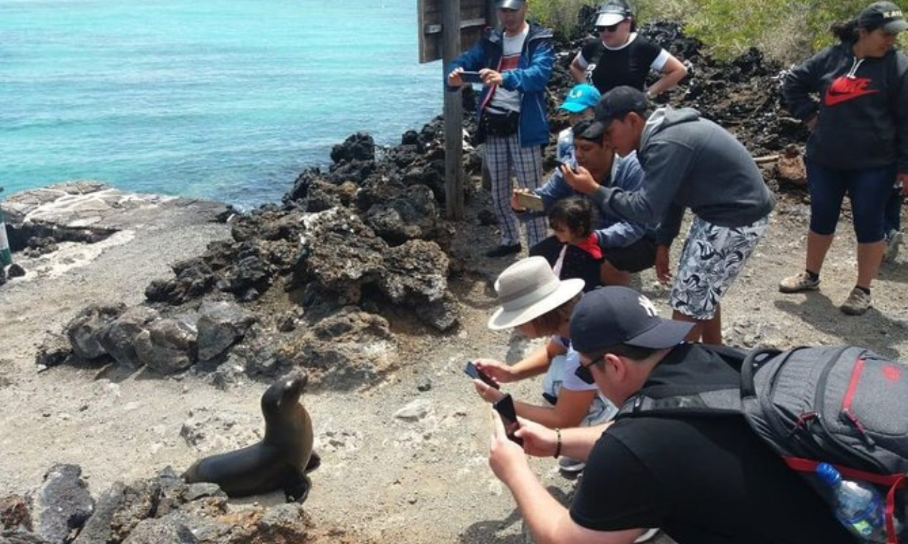 Isabela Island & Tintoreras Day Adventure