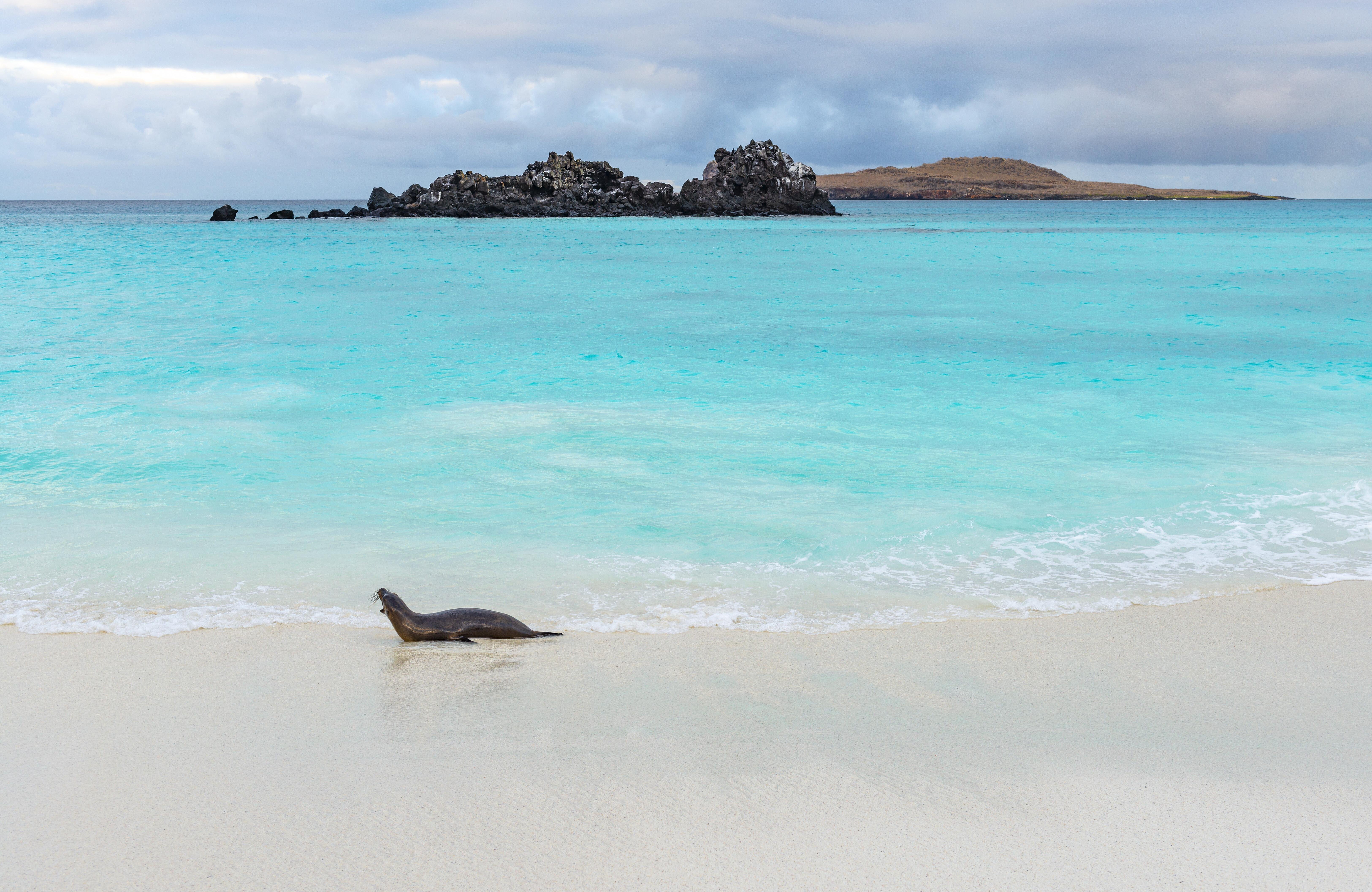 San Cristóbal 360° Island Circuit with Snorkeling