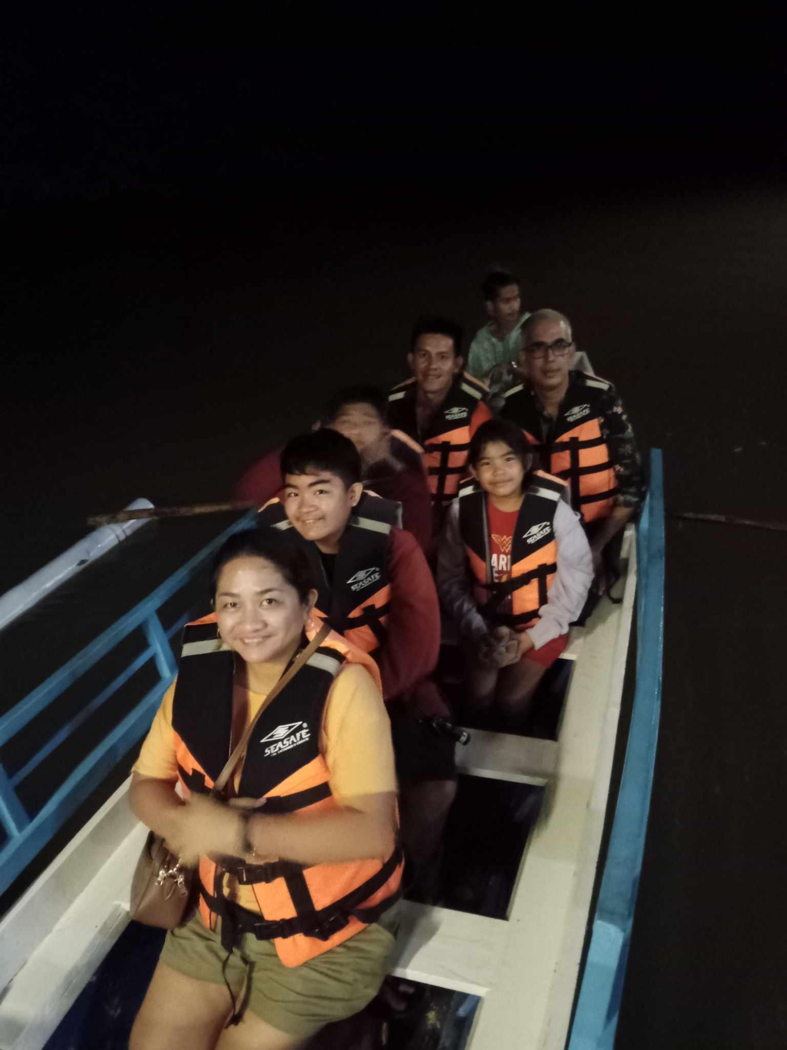 Puerto Princesa Firefly & Bioluminescent Plankton Cruise with Dinner